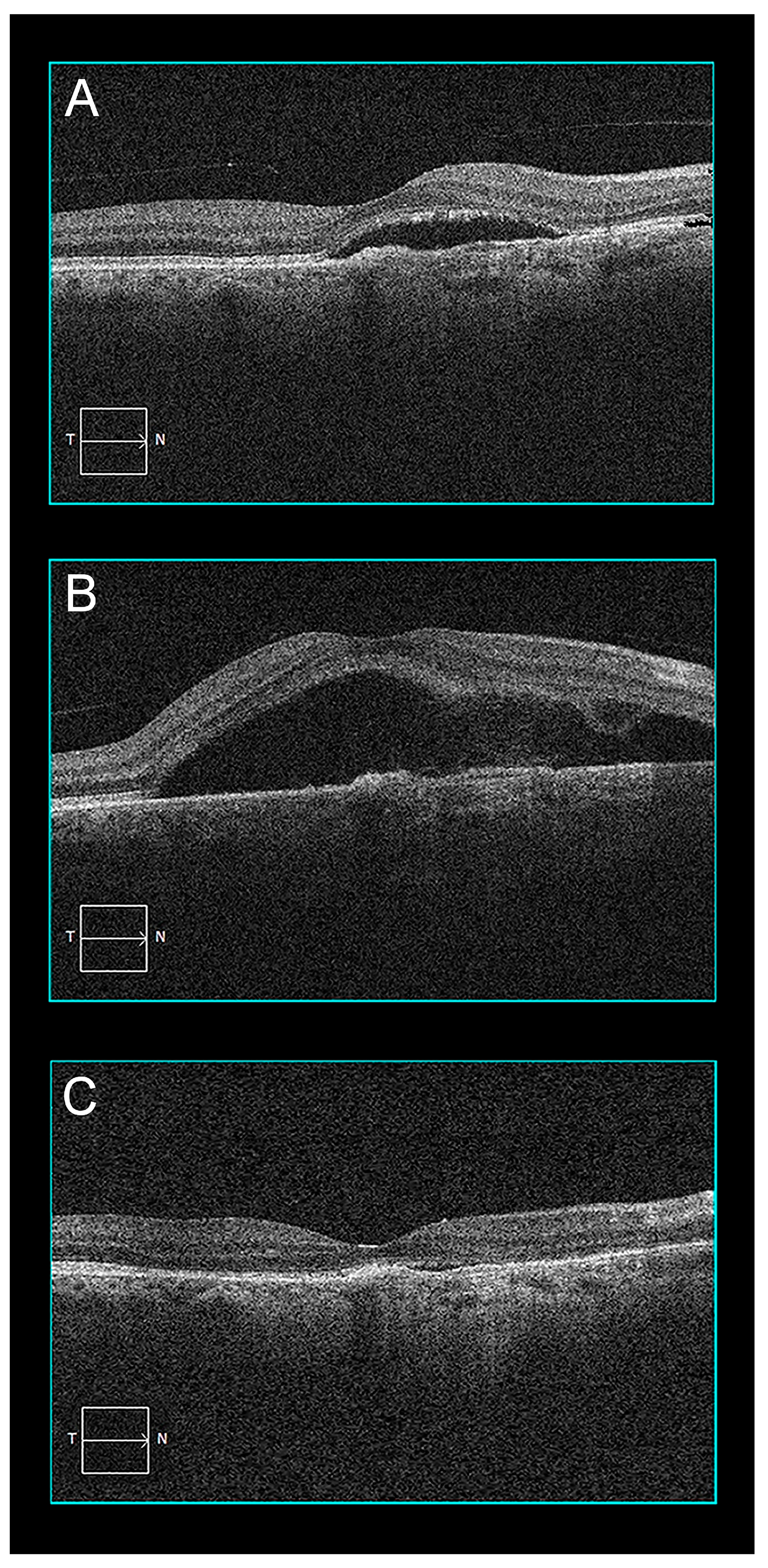 Pharmaceuticals 16 00494 g002