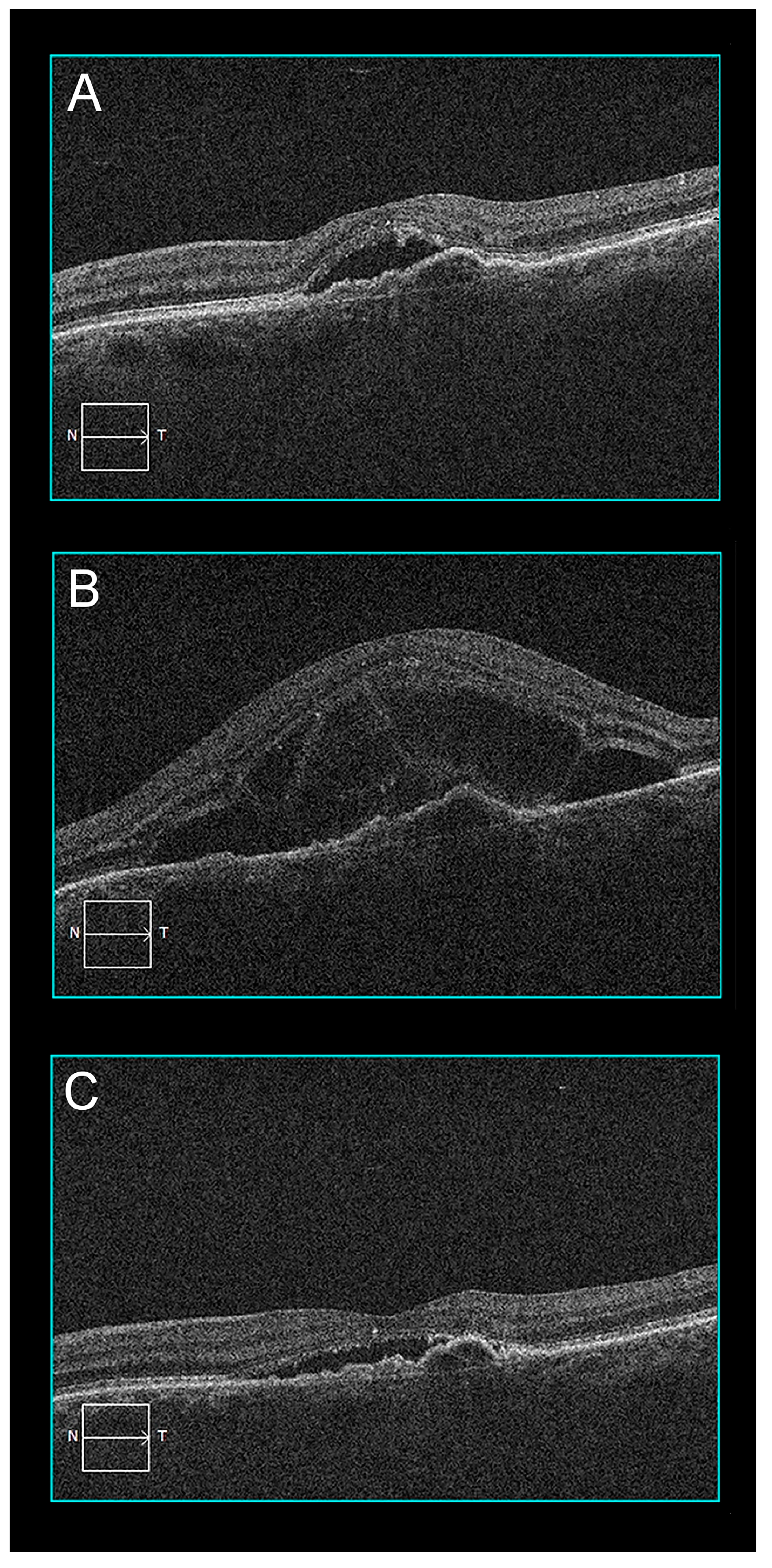 Pharmaceuticals 16 00494 g004