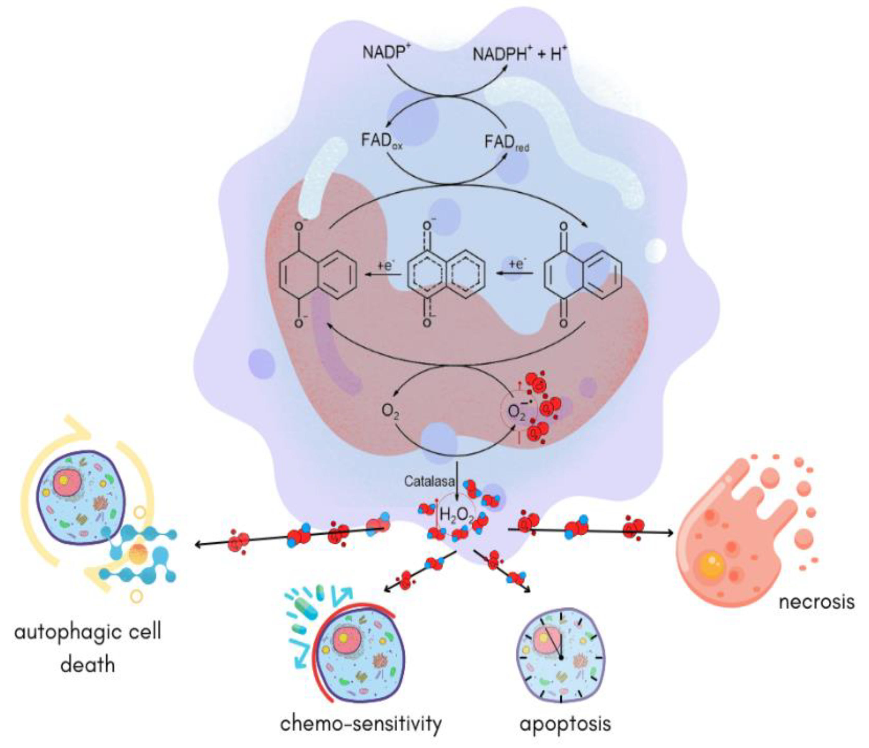 Pharmaceuticals 16 00496 g018