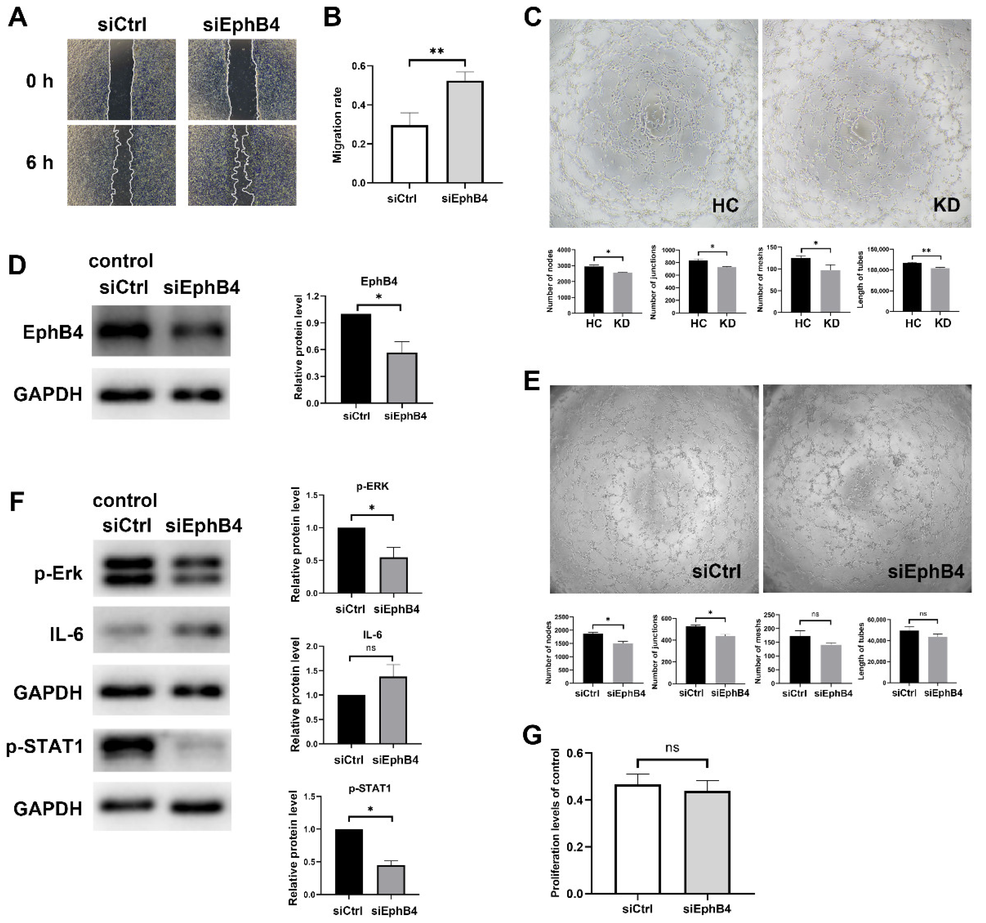 Pharmaceuticals 16 00500 g003 Pharmaceuticals 16 00500 g003