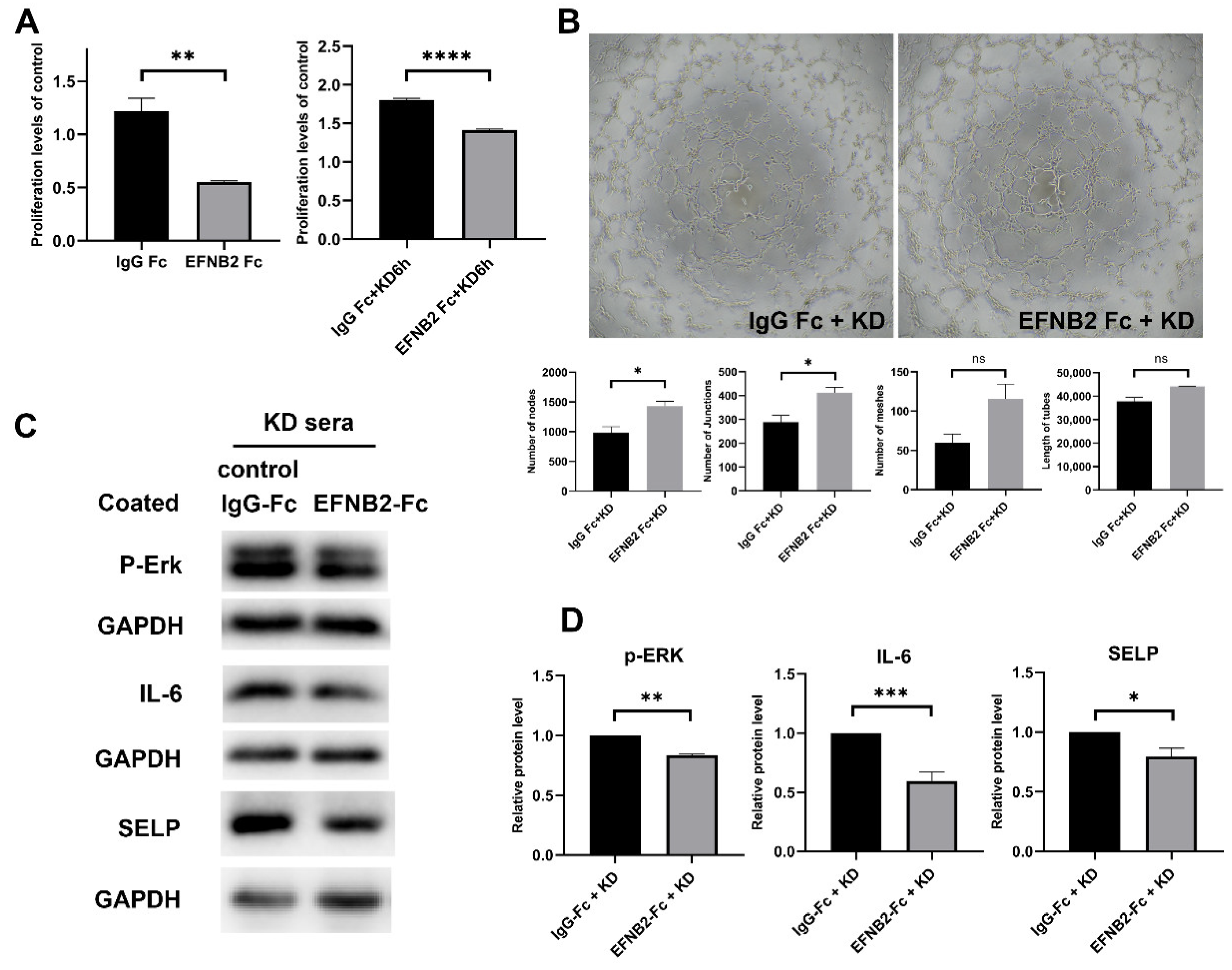 Pharmaceuticals 16 00500 g005 Pharmaceuticals 16 00500 g005