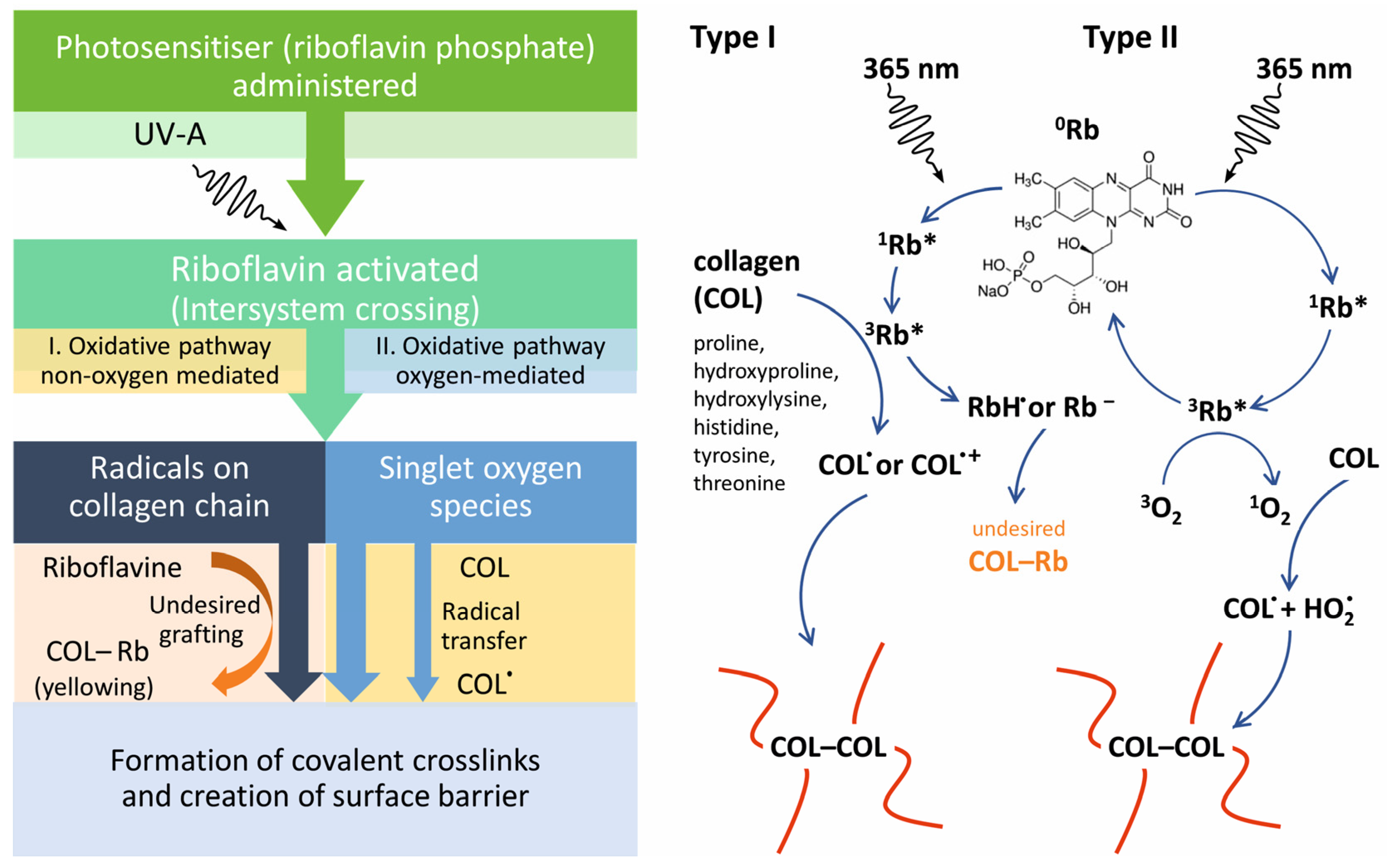 Pharmaceuticals 16 00505 g001