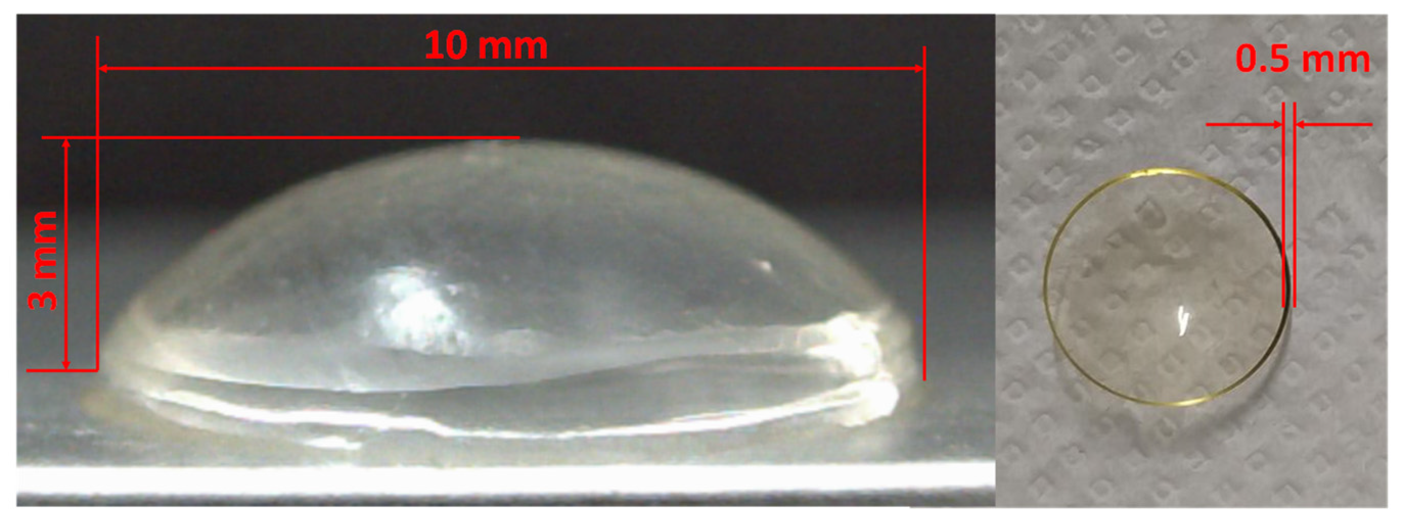 Pharmaceuticals 16 00505 g002