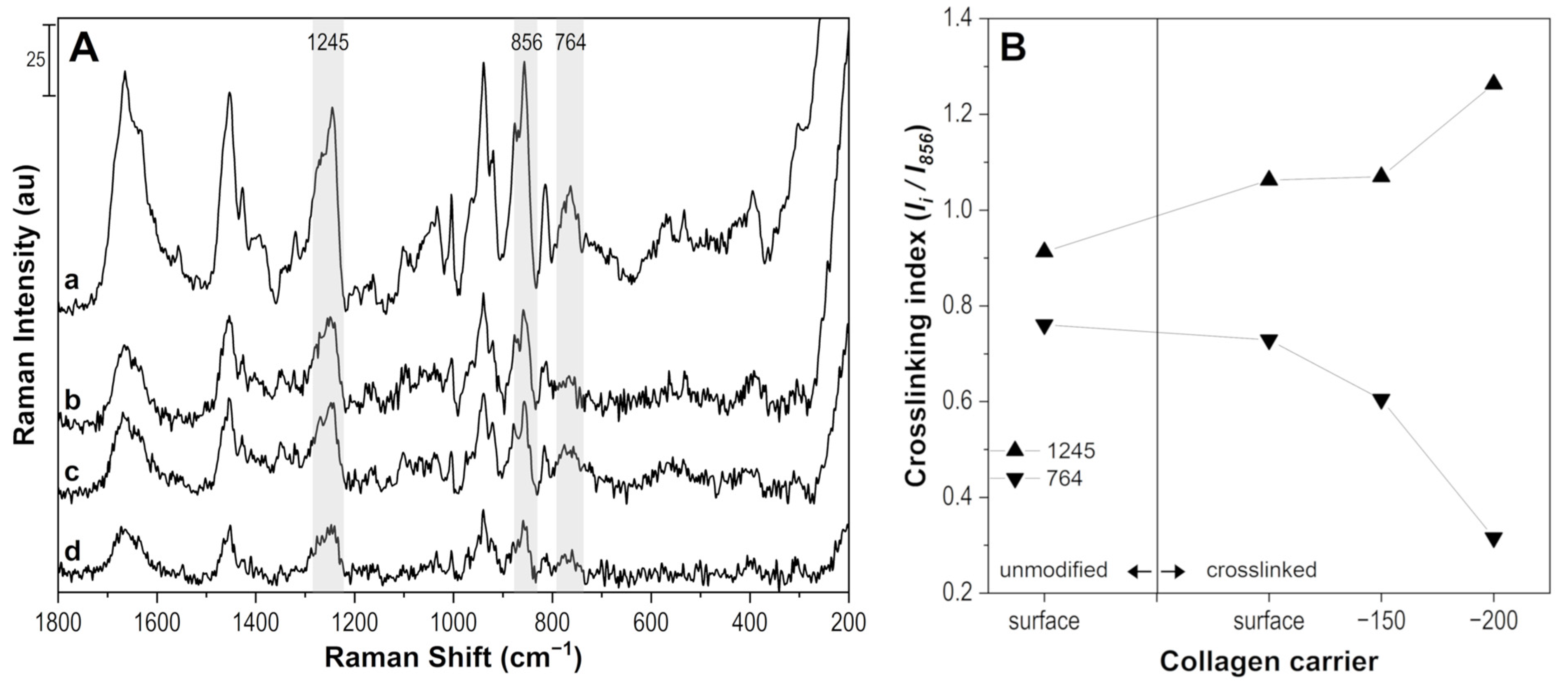 Pharmaceuticals 16 00505 g003