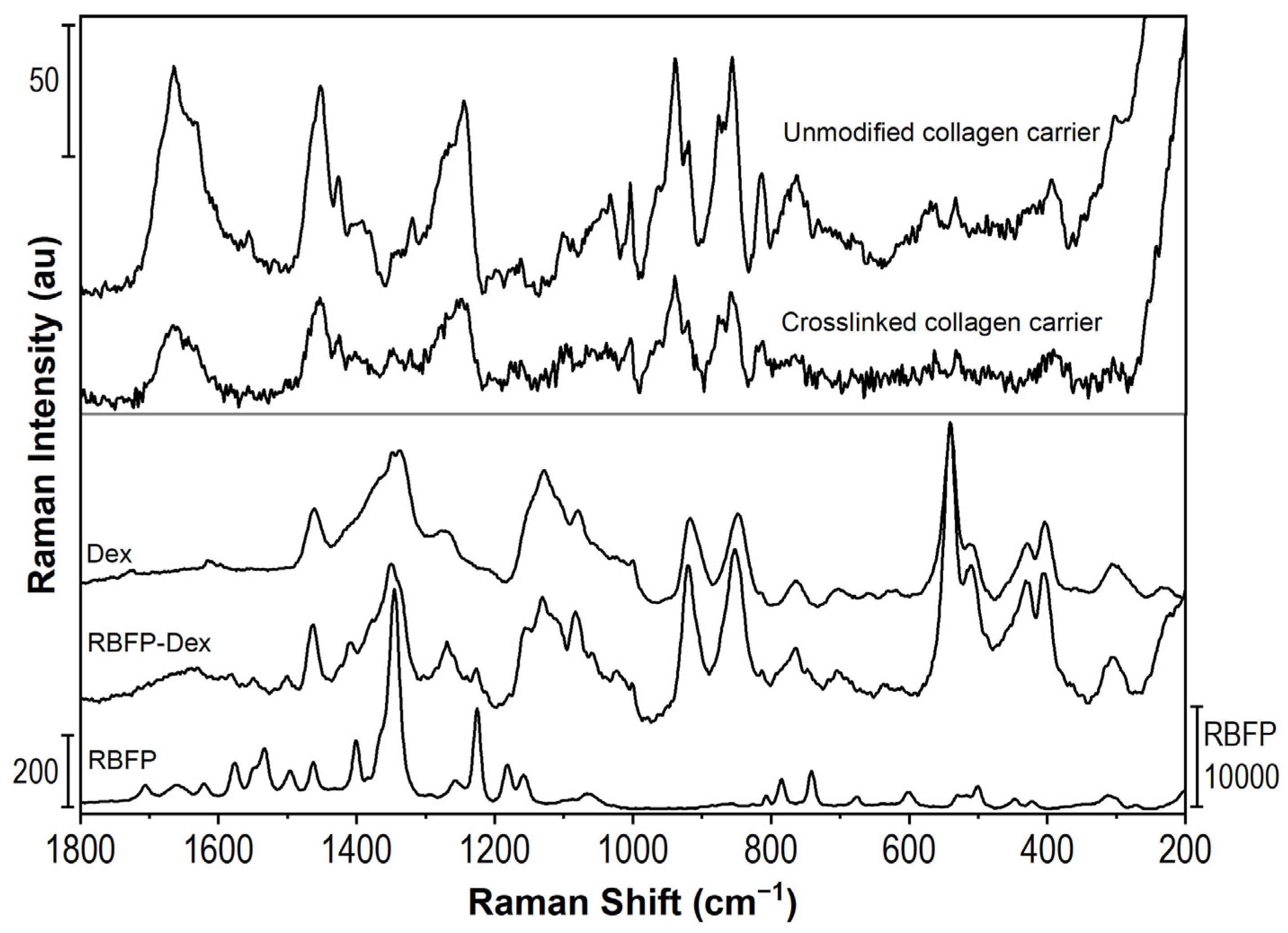 Pharmaceuticals 16 00505 g004