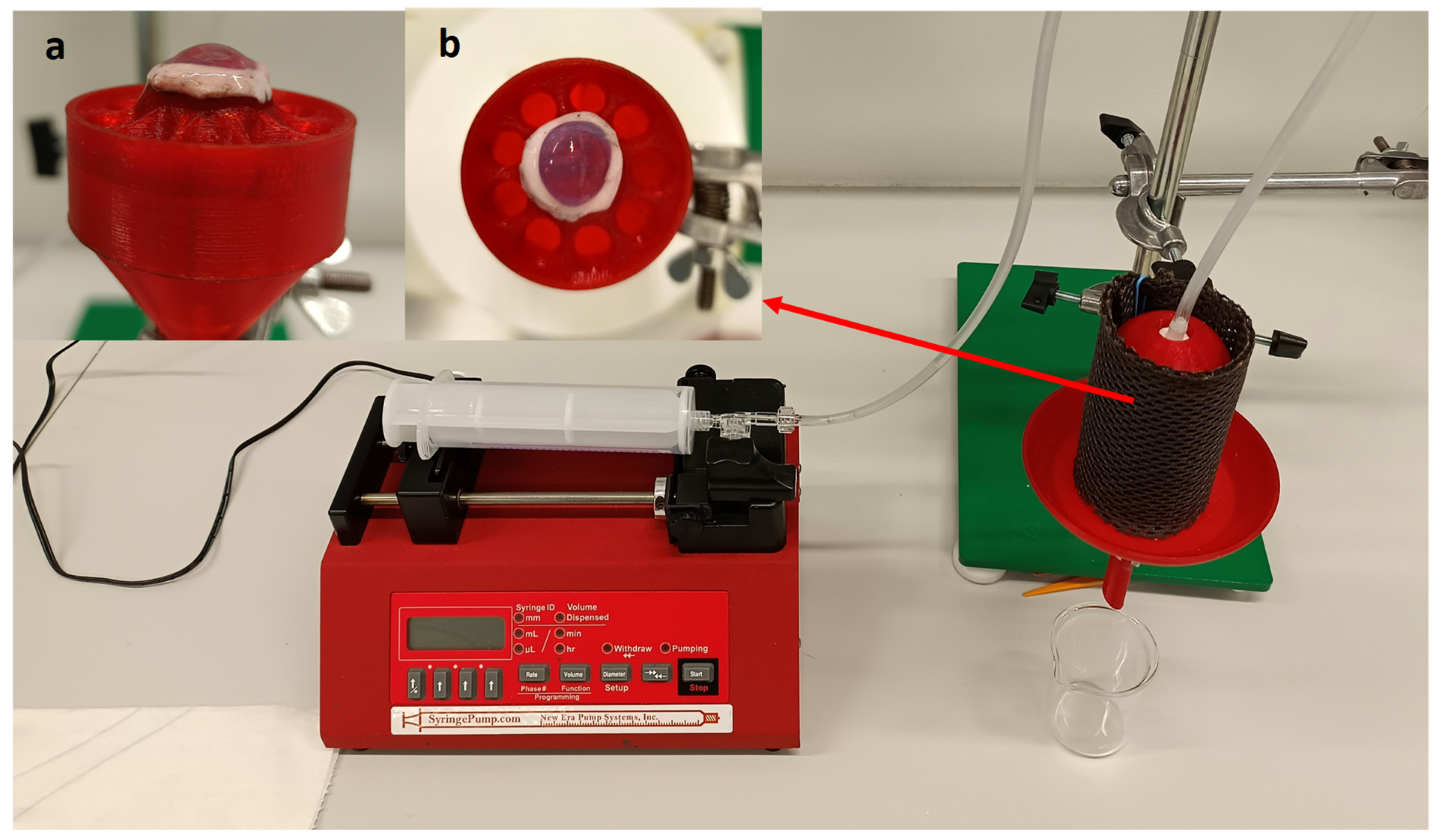Pharmaceuticals 16 00505 g011