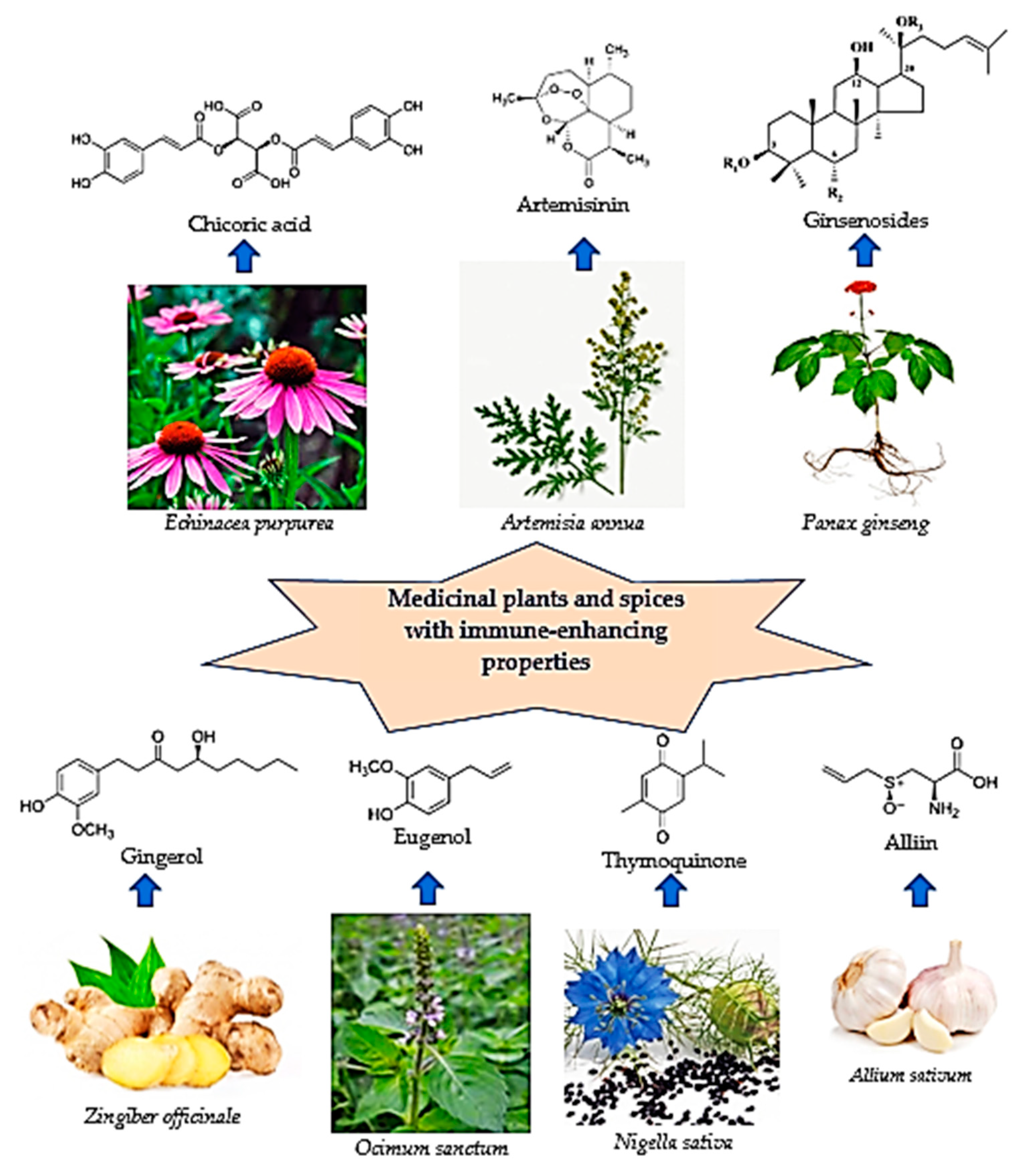 Pharmaceuticals 16 00528 g001
