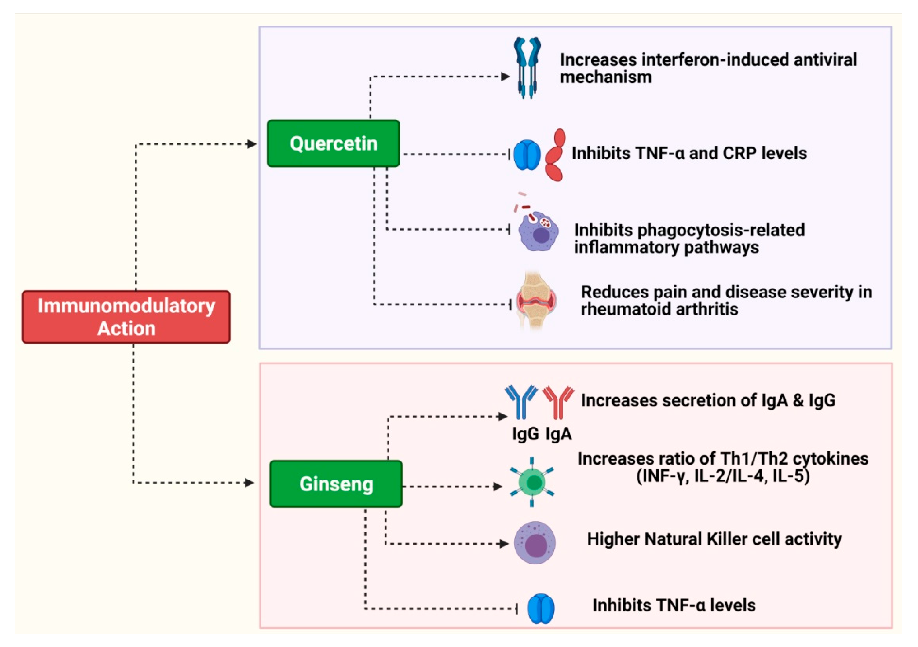 Pharmaceuticals 16 00528 g002