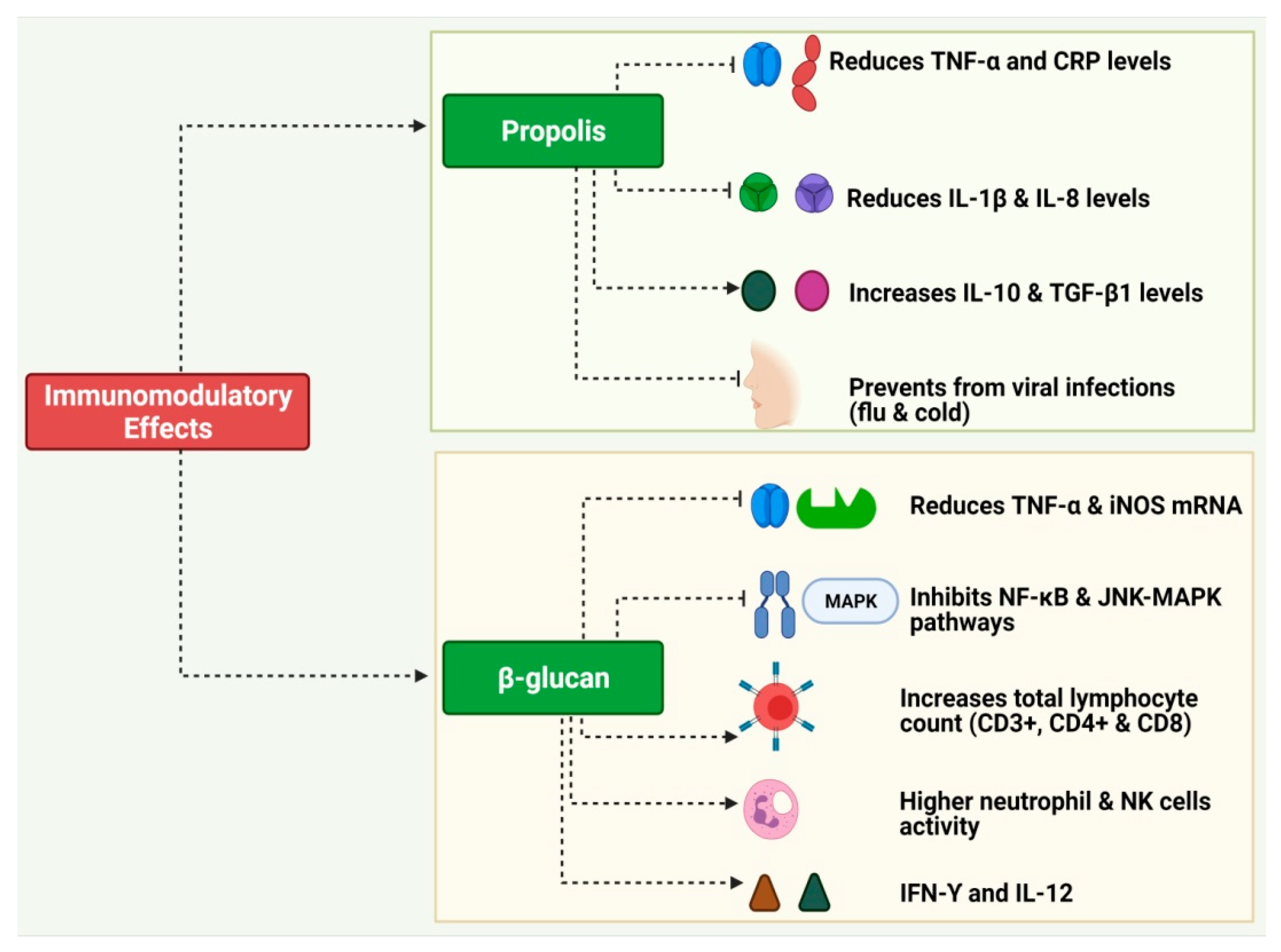 Pharmaceuticals 16 00528 g003