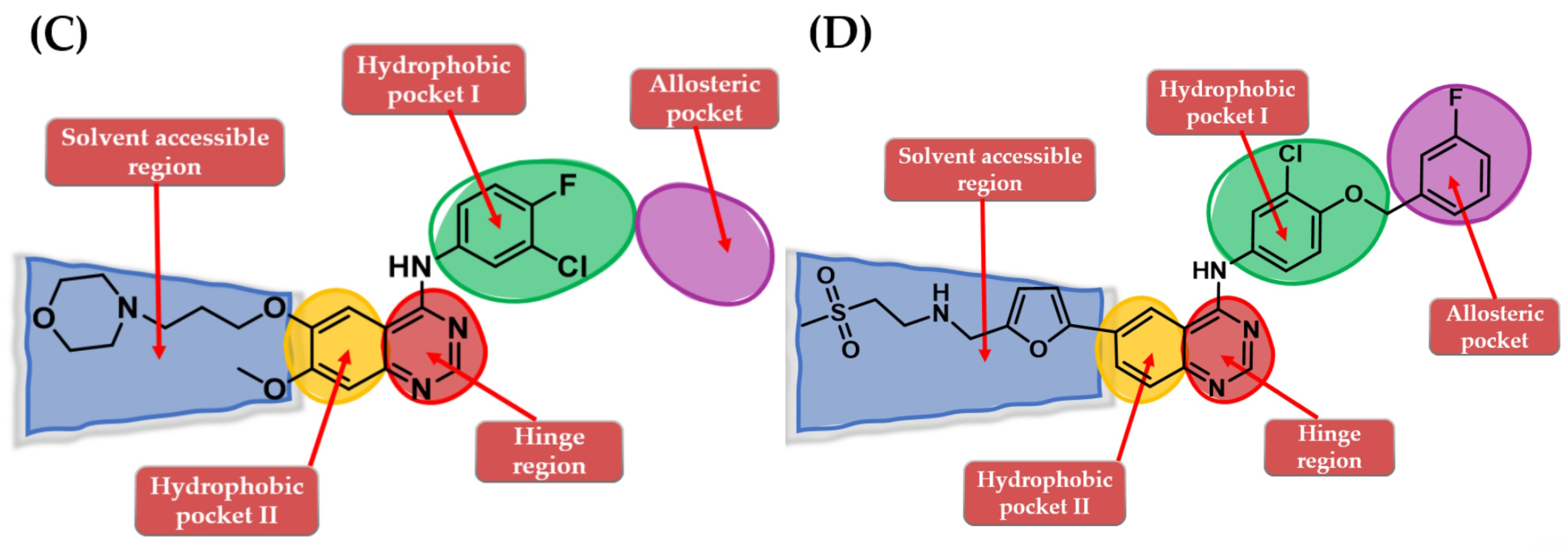 Pharmaceuticals 16 00534 g002b Pharmaceuticals 16 00534 g002b