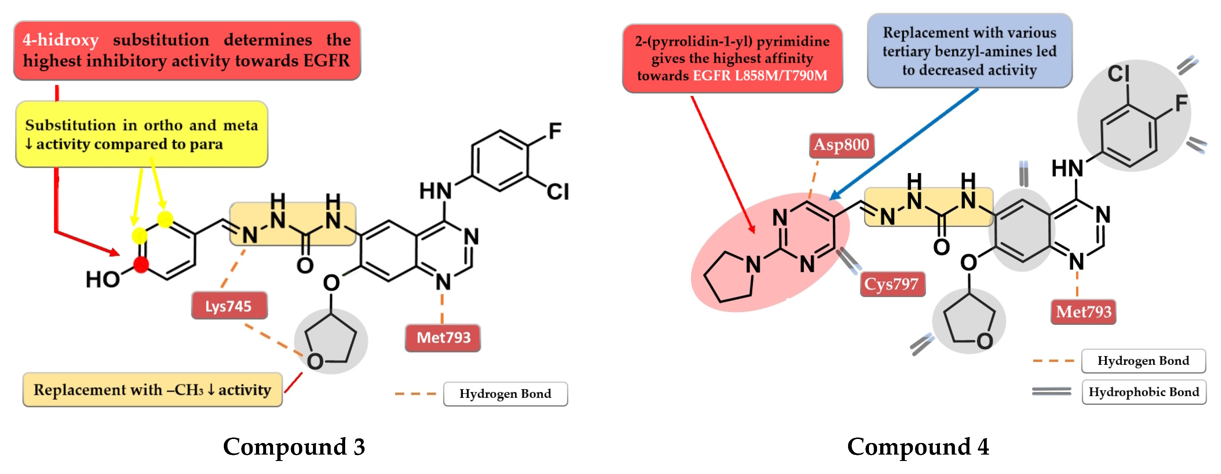 Pharmaceuticals 16 00534 g004 Pharmaceuticals 16 00534 g004