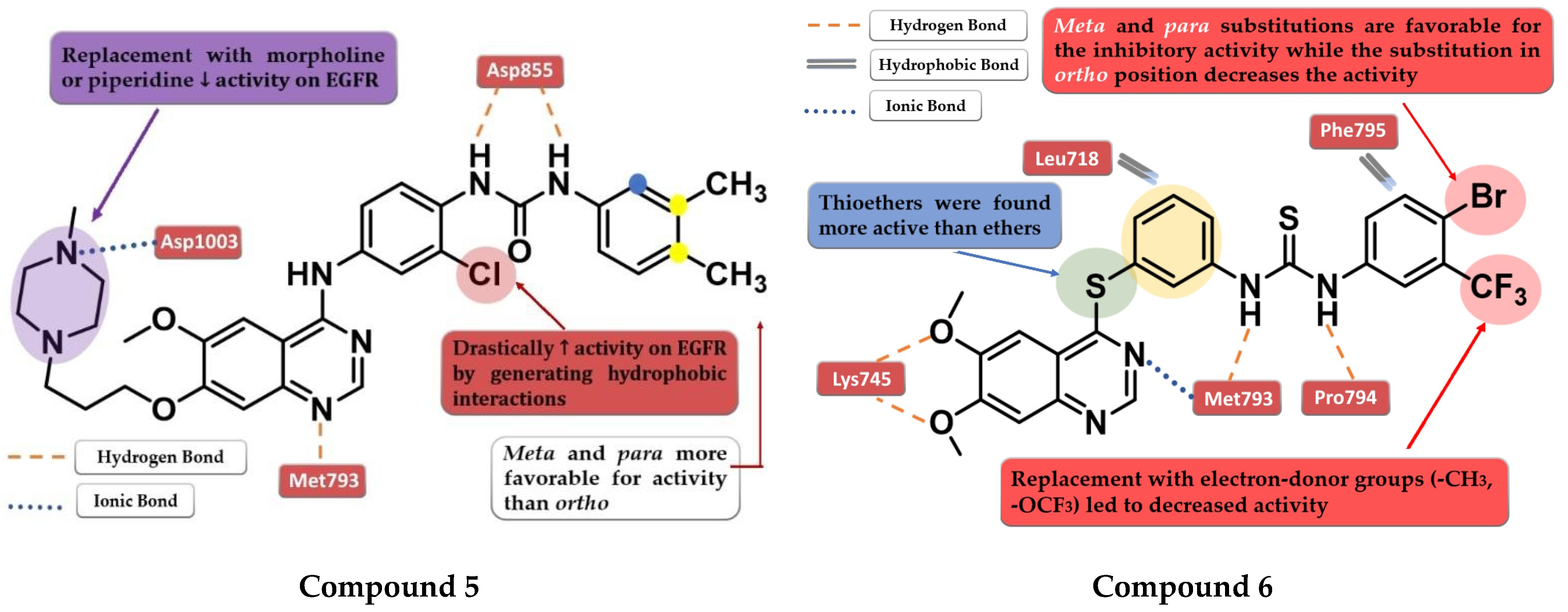 Pharmaceuticals 16 00534 g005 Pharmaceuticals 16 00534 g005