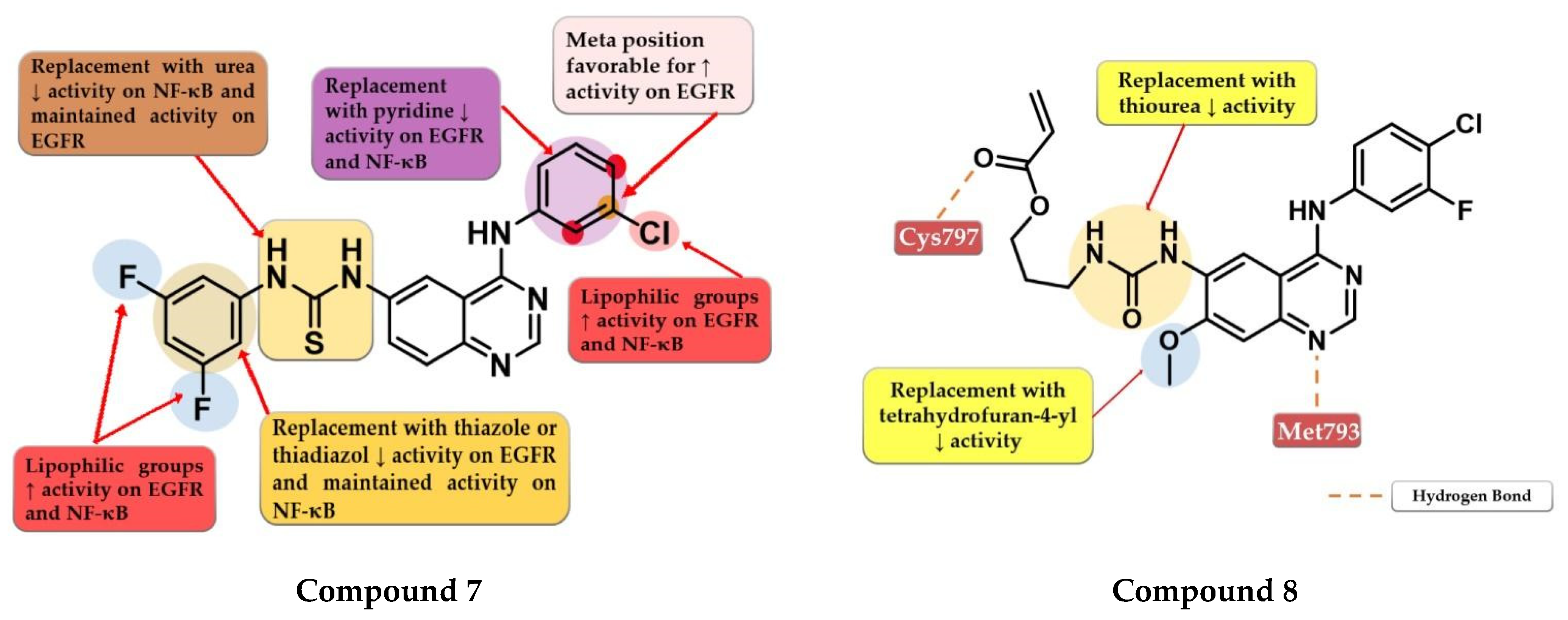 Pharmaceuticals 16 00534 g006 Pharmaceuticals 16 00534 g006