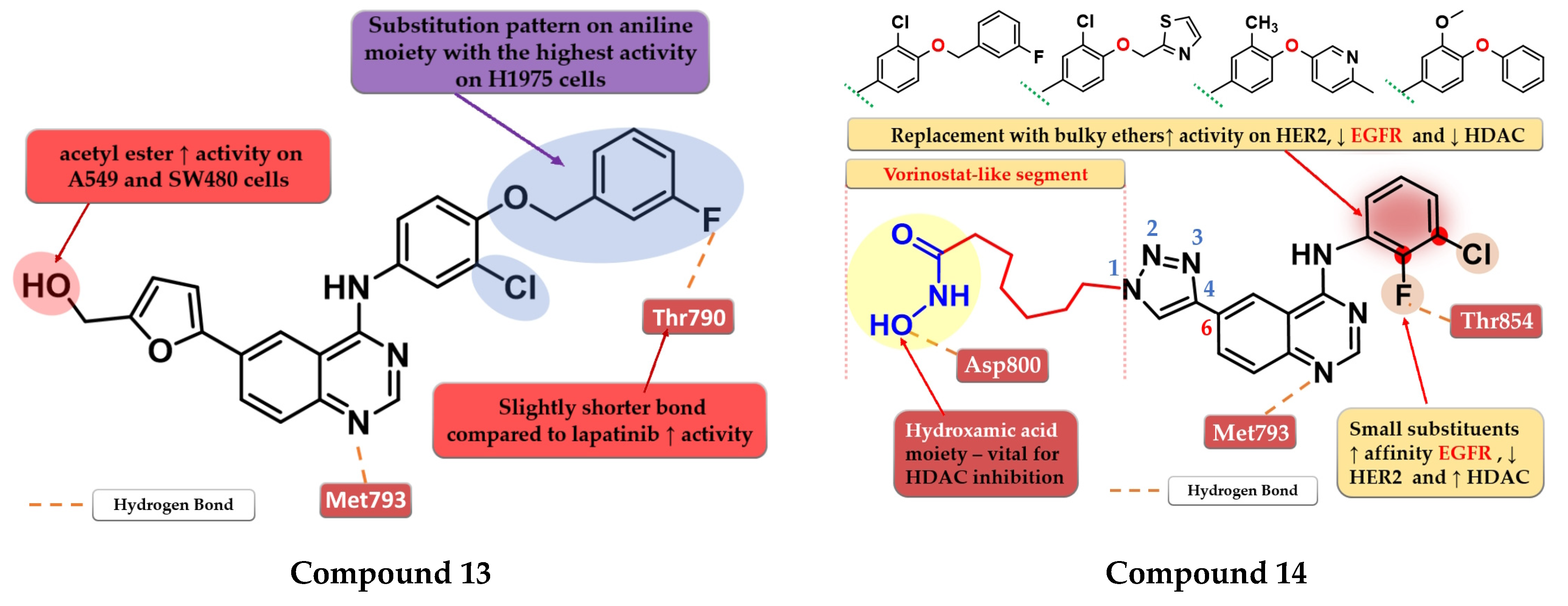 Pharmaceuticals 16 00534 g009 Pharmaceuticals 16 00534 g009
