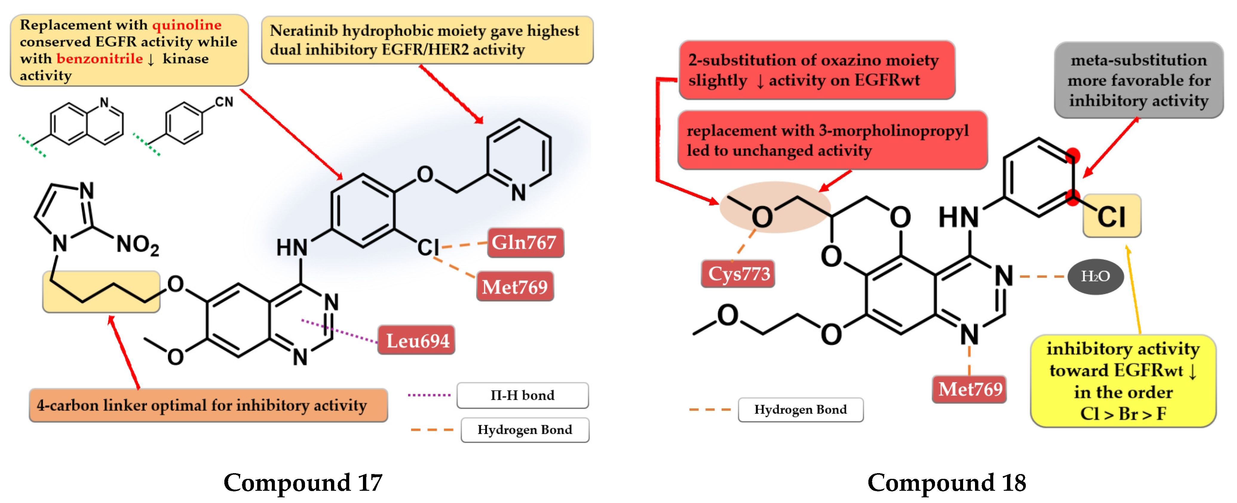 Pharmaceuticals 16 00534 g011 Pharmaceuticals 16 00534 g011