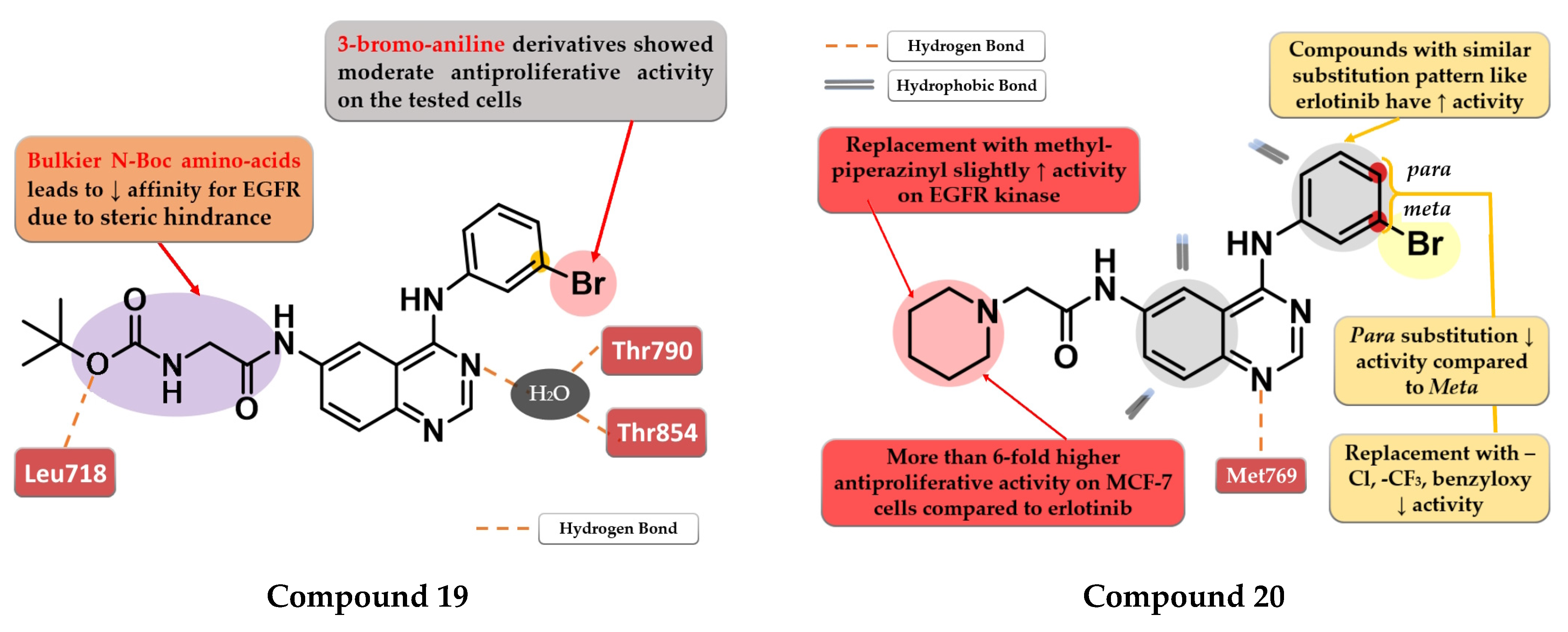Pharmaceuticals 16 00534 g012 Pharmaceuticals 16 00534 g012