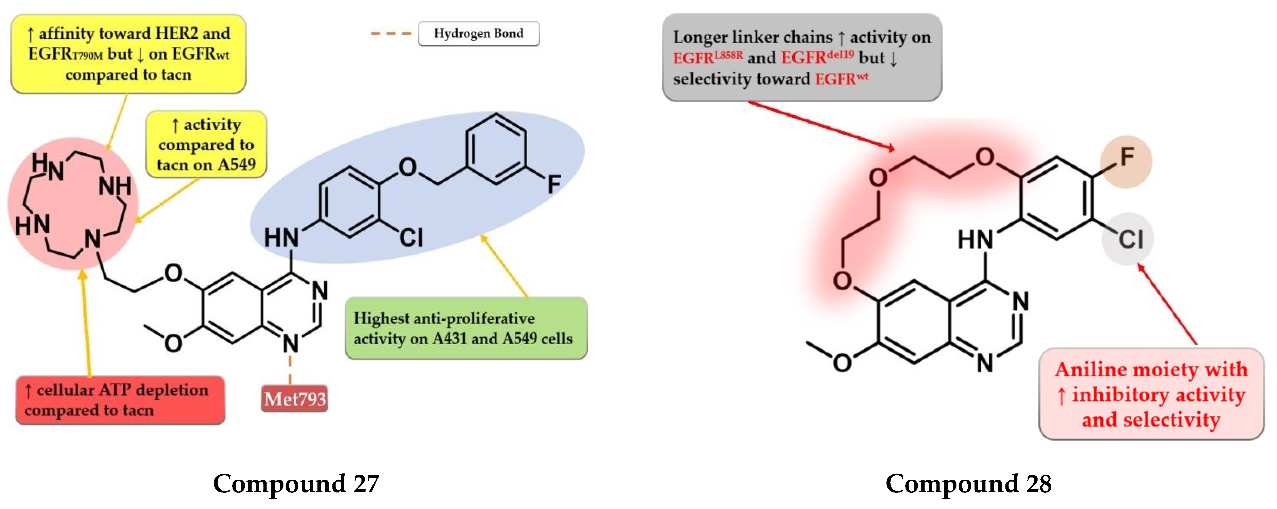 Pharmaceuticals 16 00534 g016 Pharmaceuticals 16 00534 g016