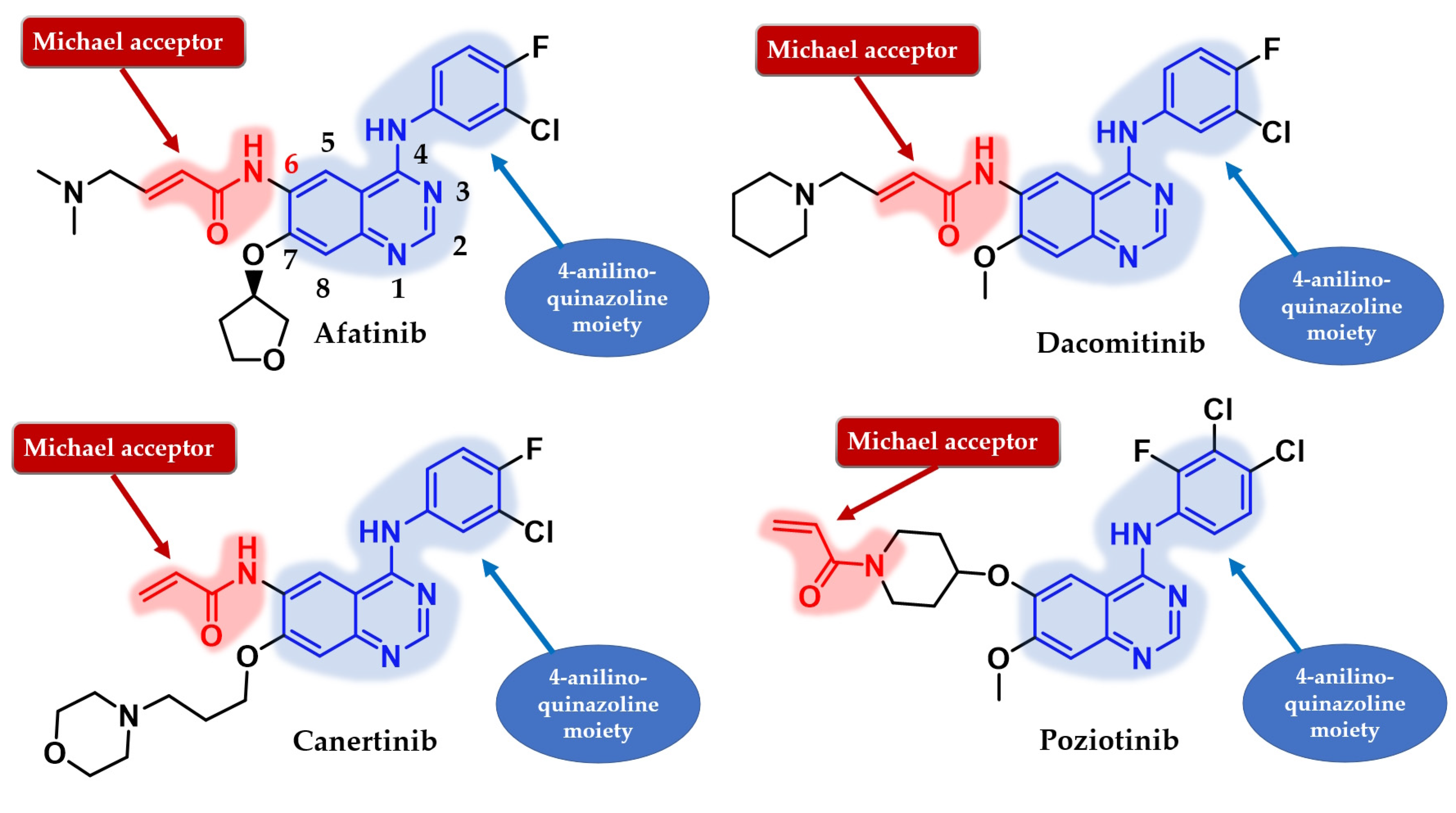 Pharmaceuticals 16 00534 g019 Pharmaceuticals 16 00534 g019