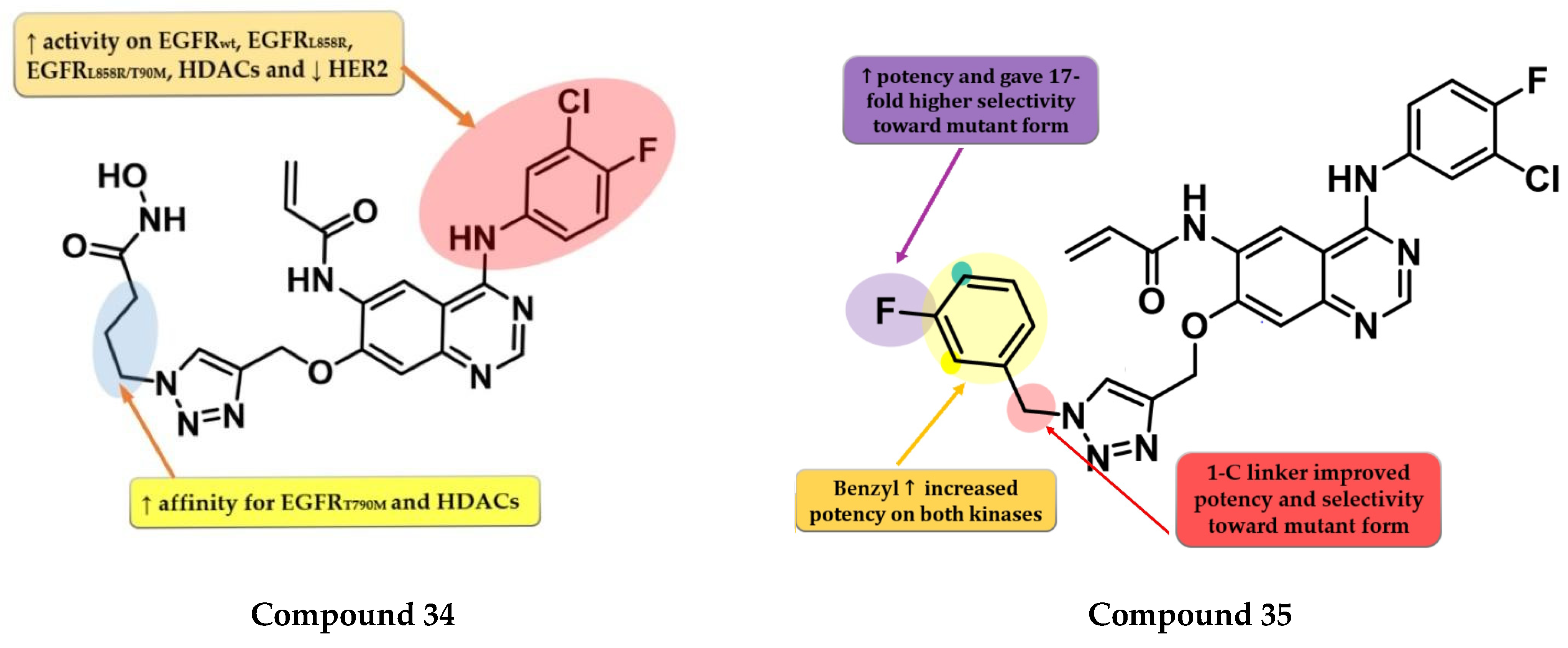 Pharmaceuticals 16 00534 g023 Pharmaceuticals 16 00534 g023