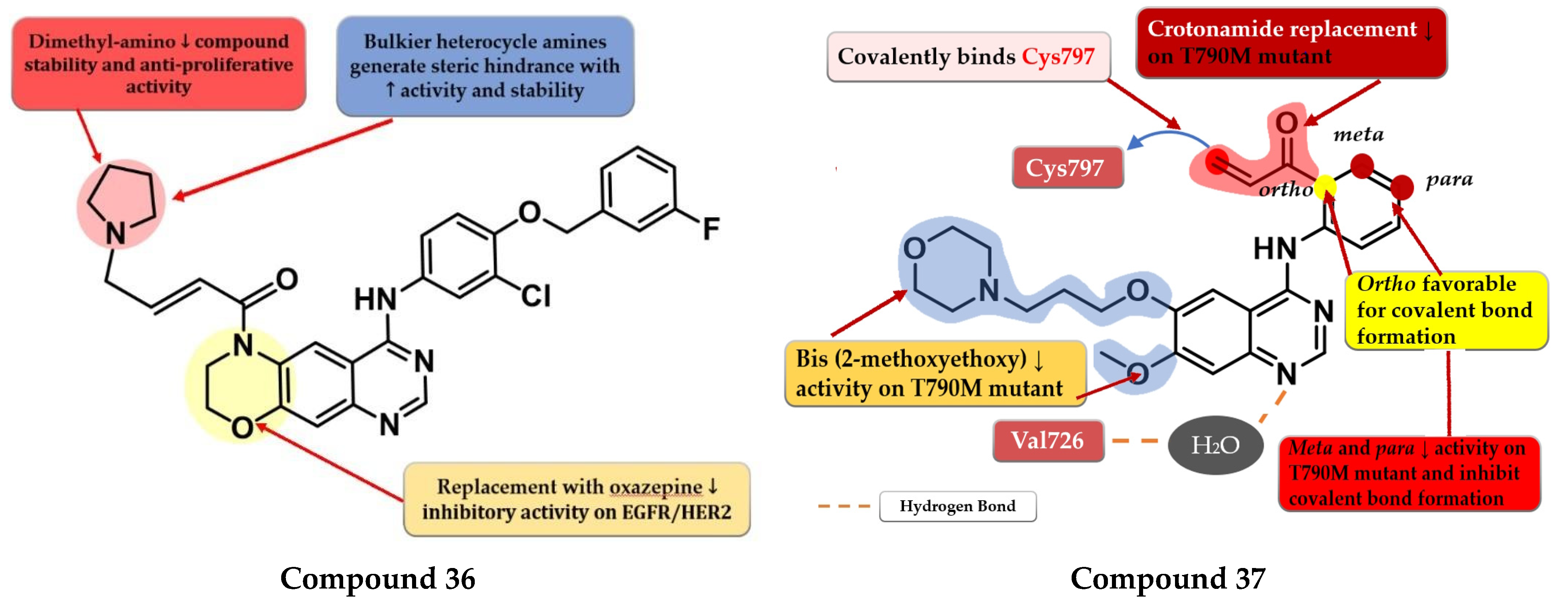 Pharmaceuticals 16 00534 g024 Pharmaceuticals 16 00534 g024