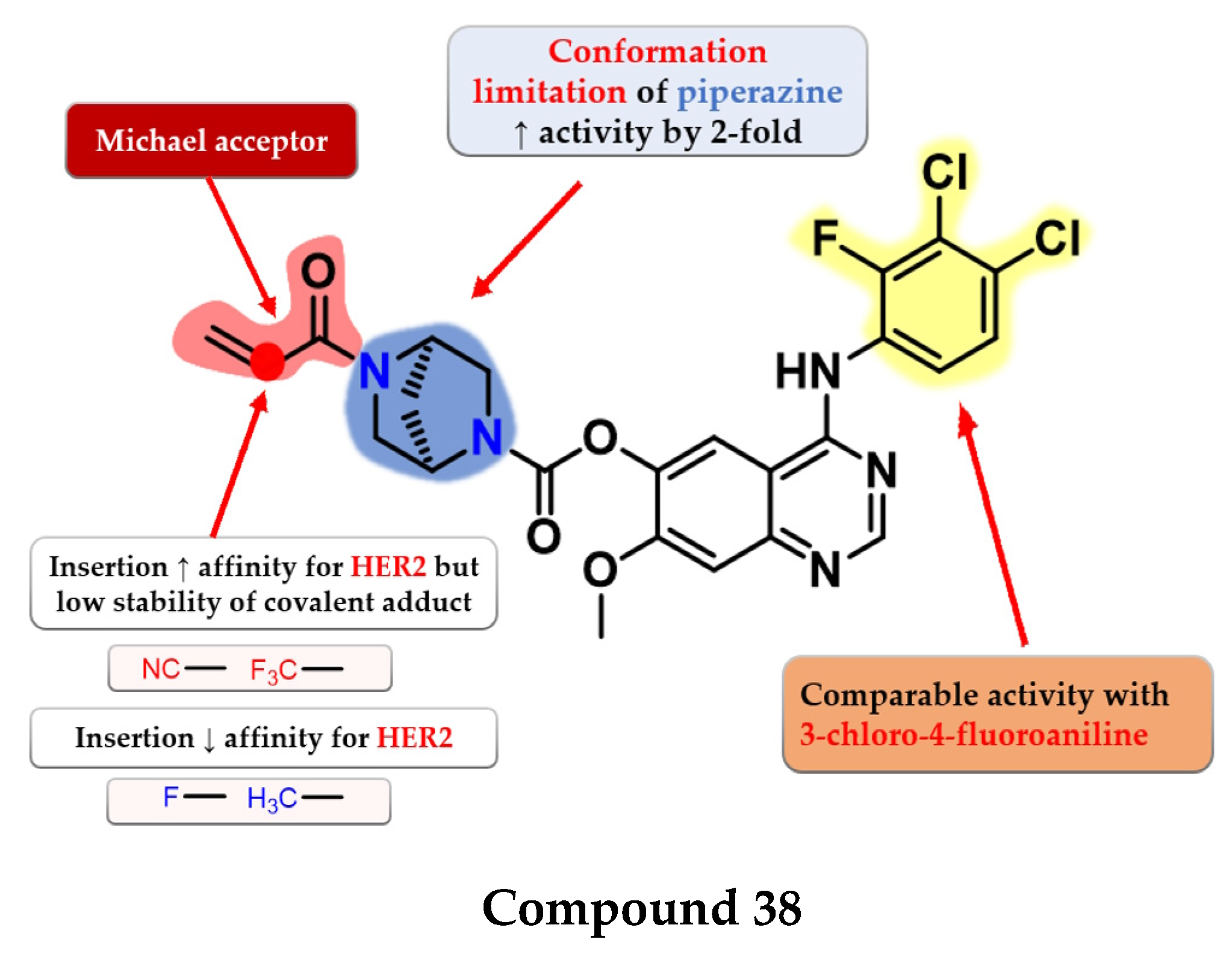 Pharmaceuticals 16 00534 g025 Pharmaceuticals 16 00534 g025