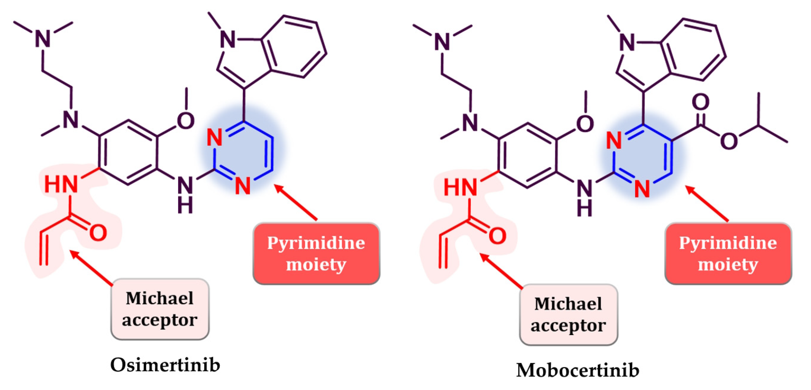 Pharmaceuticals 16 00534 g026 Pharmaceuticals 16 00534 g026