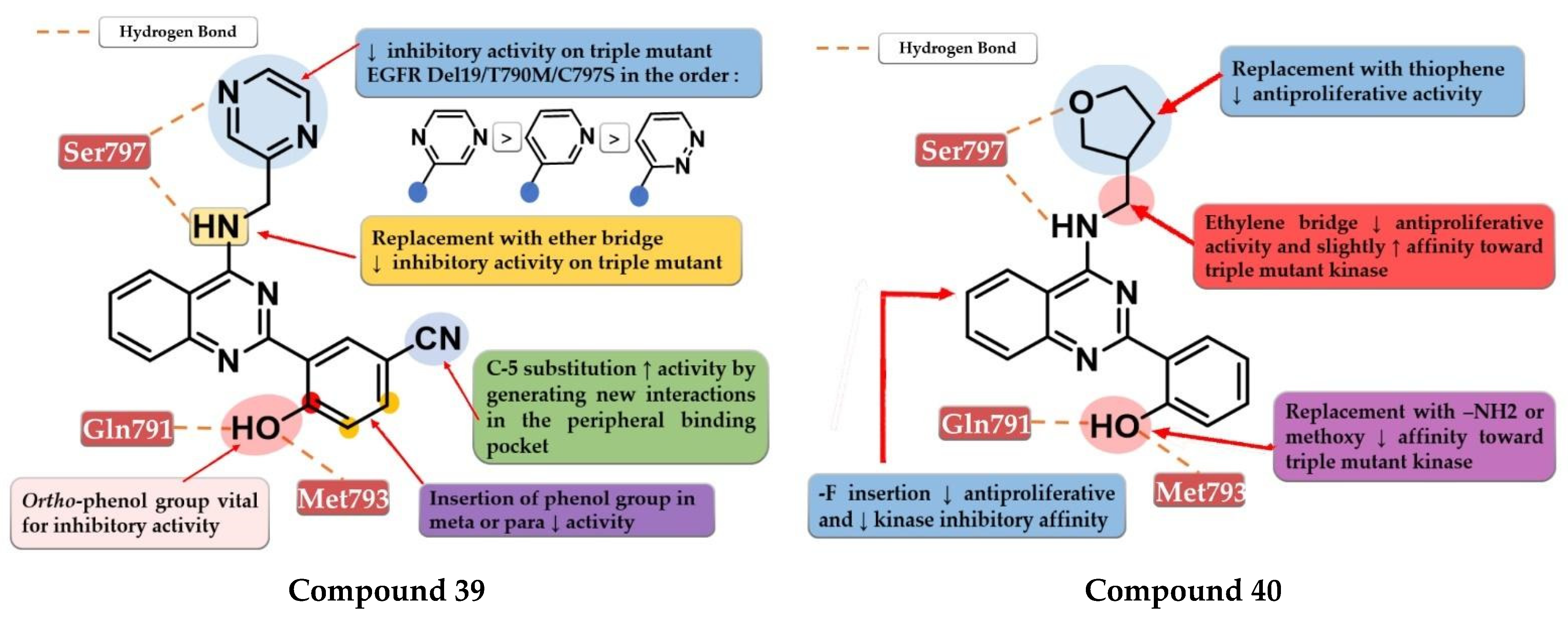 Pharmaceuticals 16 00534 g028 Pharmaceuticals 16 00534 g028