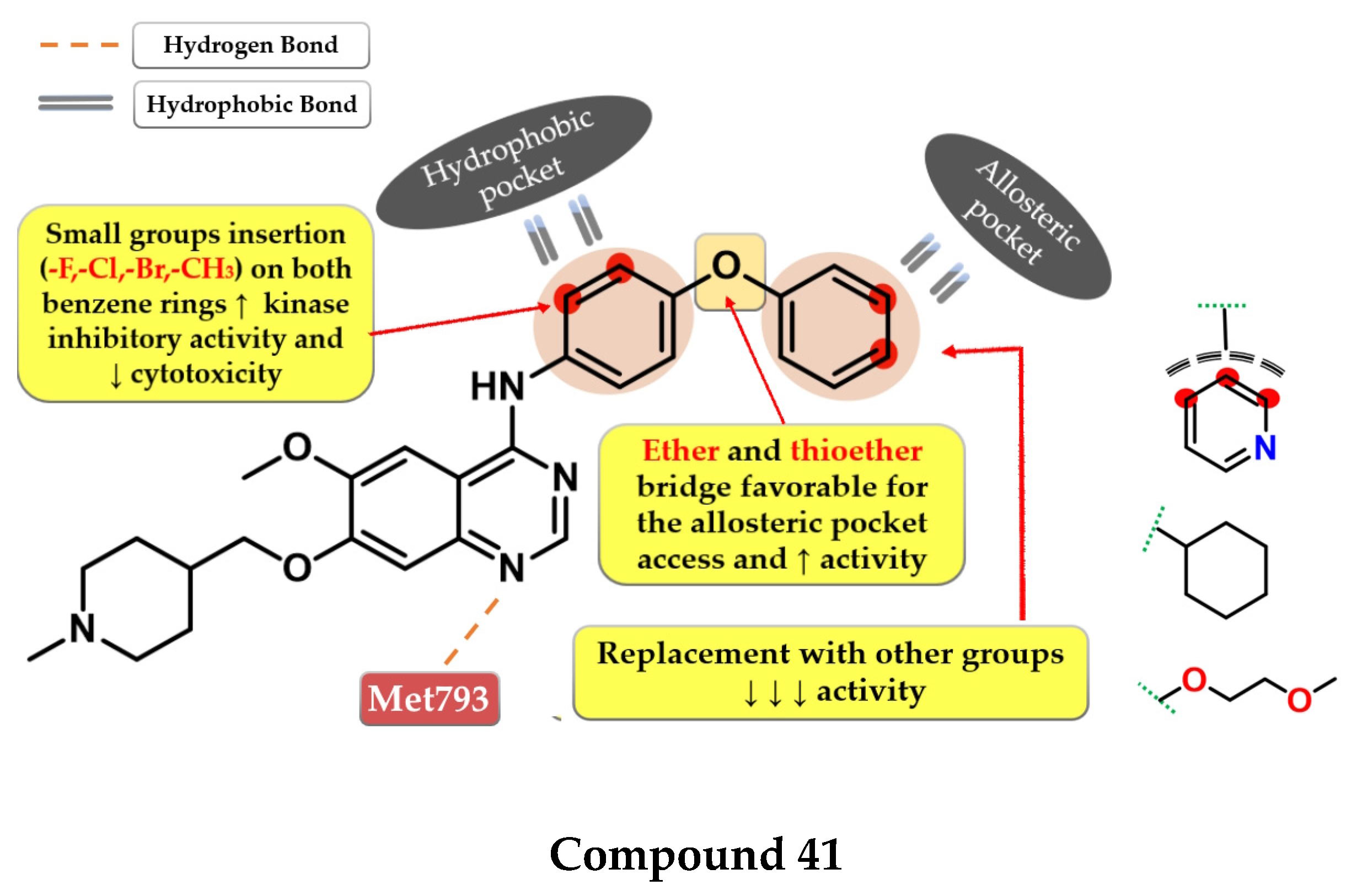 Pharmaceuticals 16 00534 g029 Pharmaceuticals 16 00534 g029
