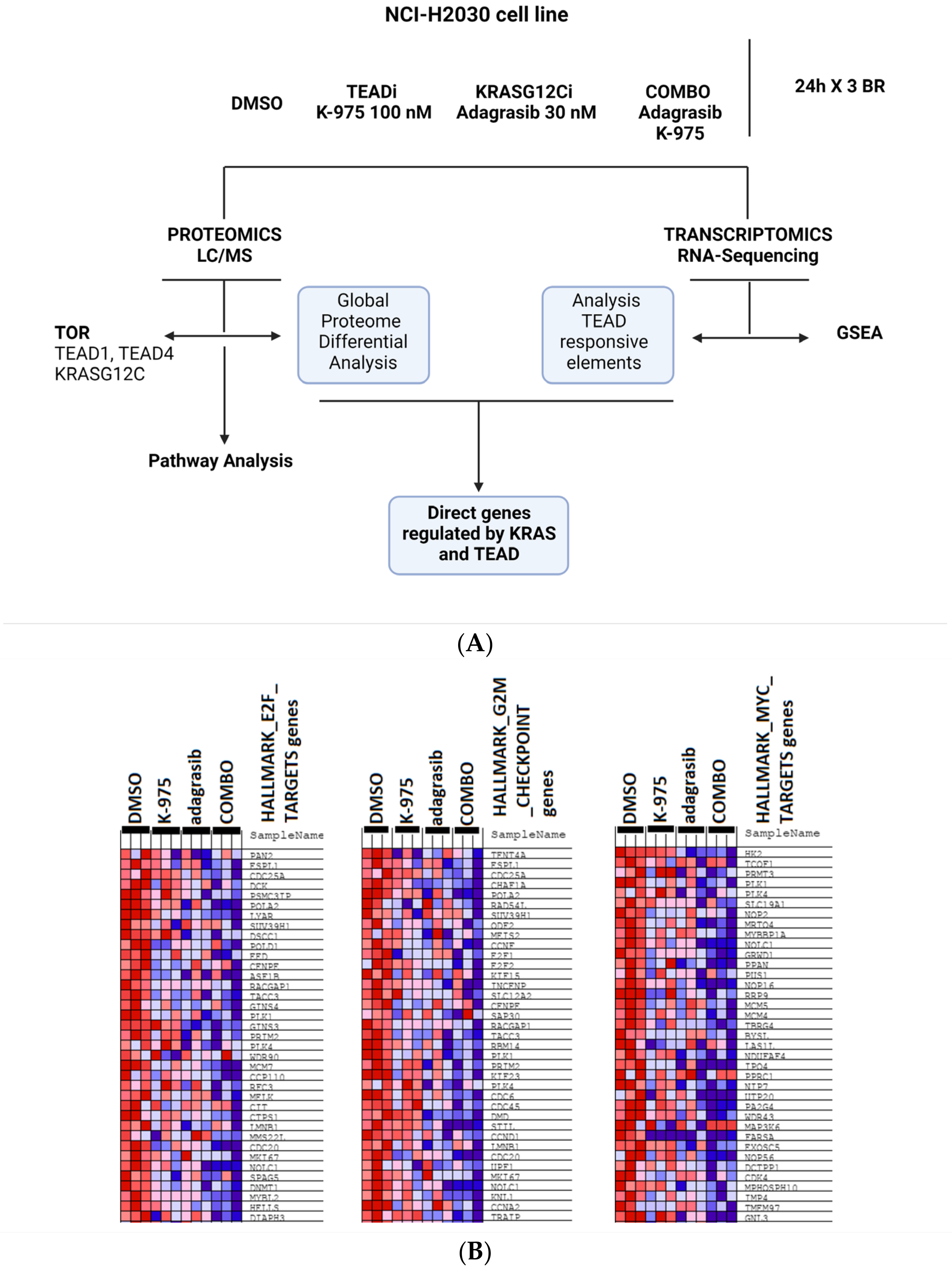 Pharmaceuticals 16 00553 g003a