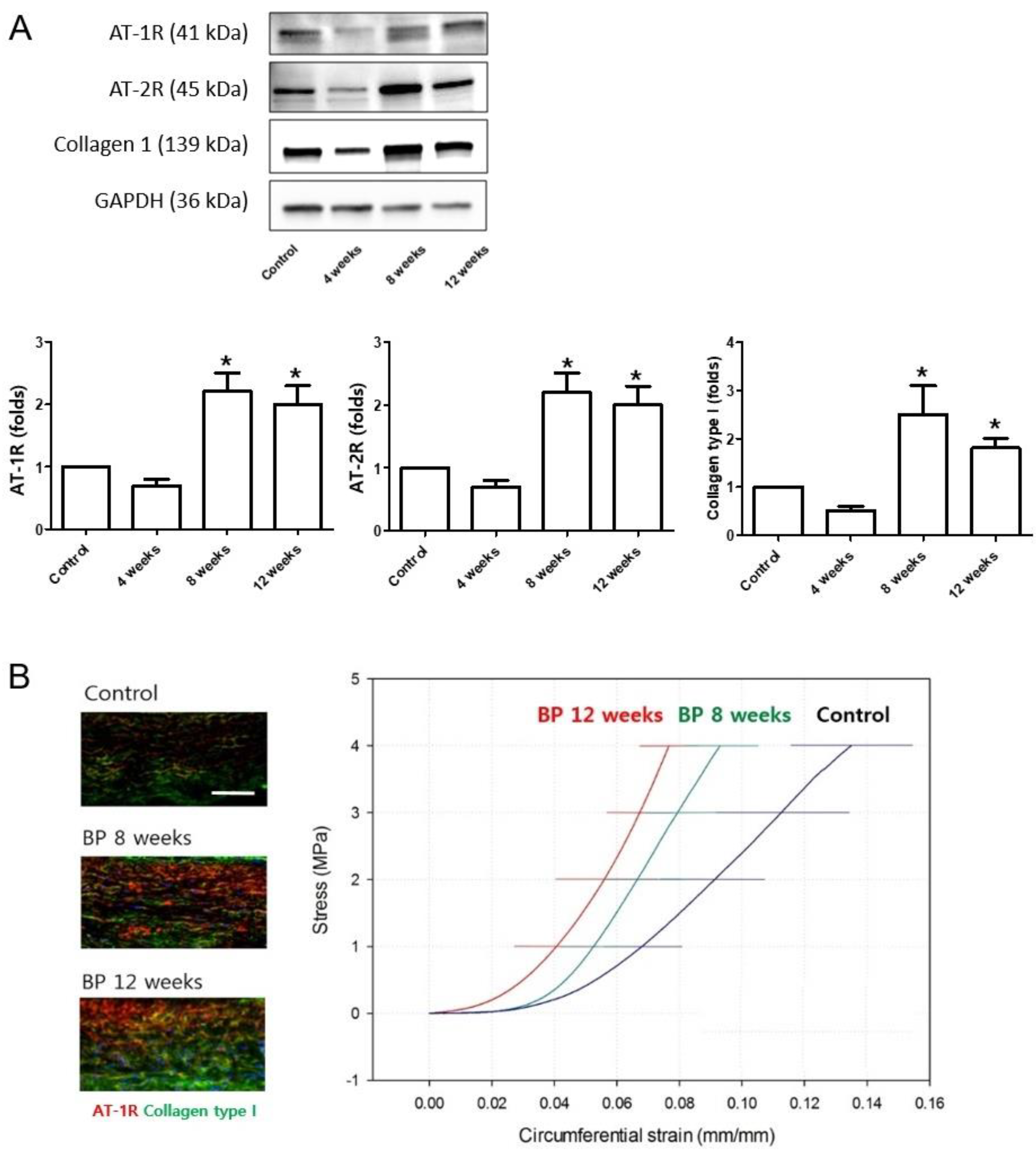 Pharmaceuticals 16 00556 g002 Pharmaceuticals 16 00556 g002