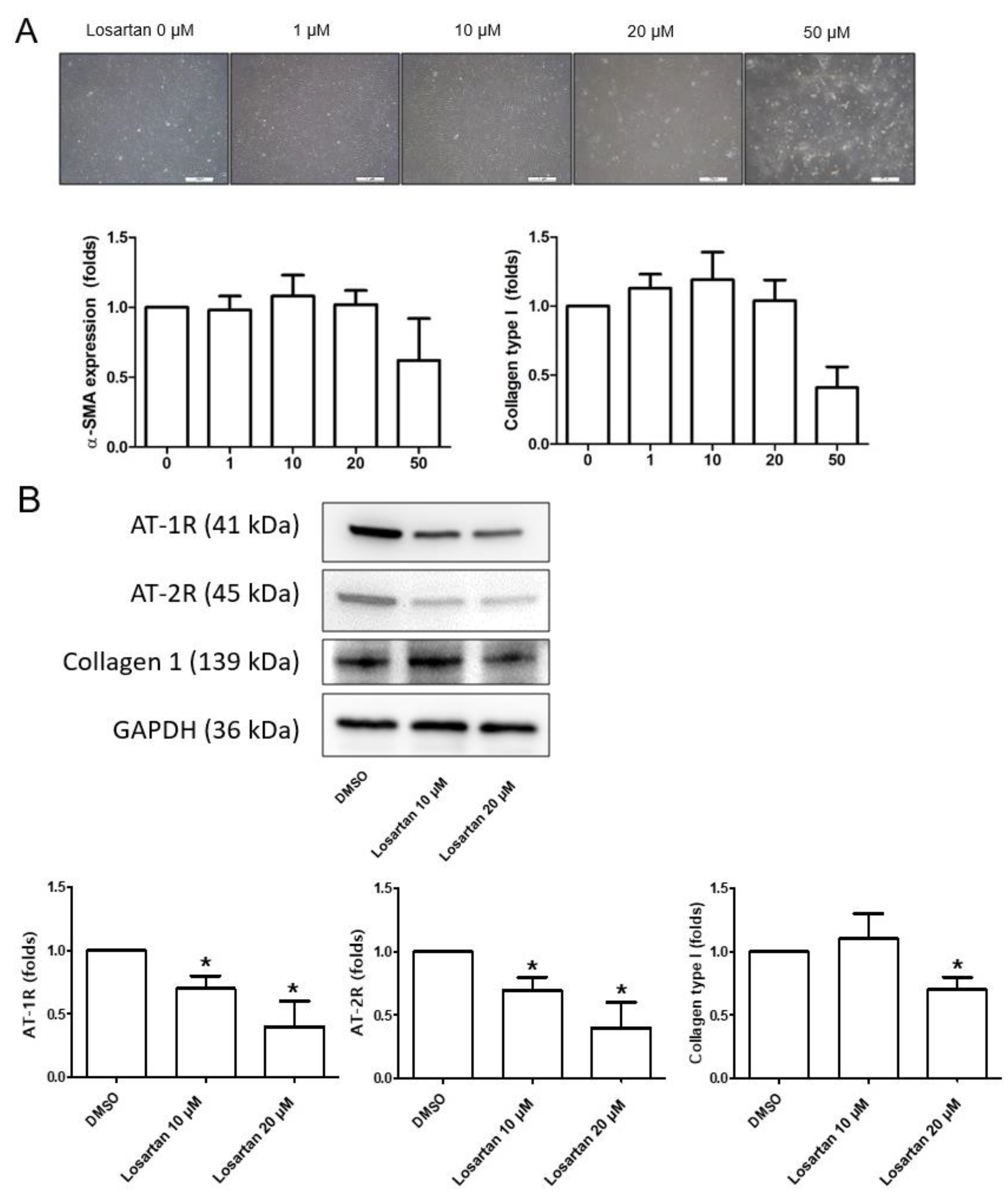Pharmaceuticals 16 00556 g004 Pharmaceuticals 16 00556 g004