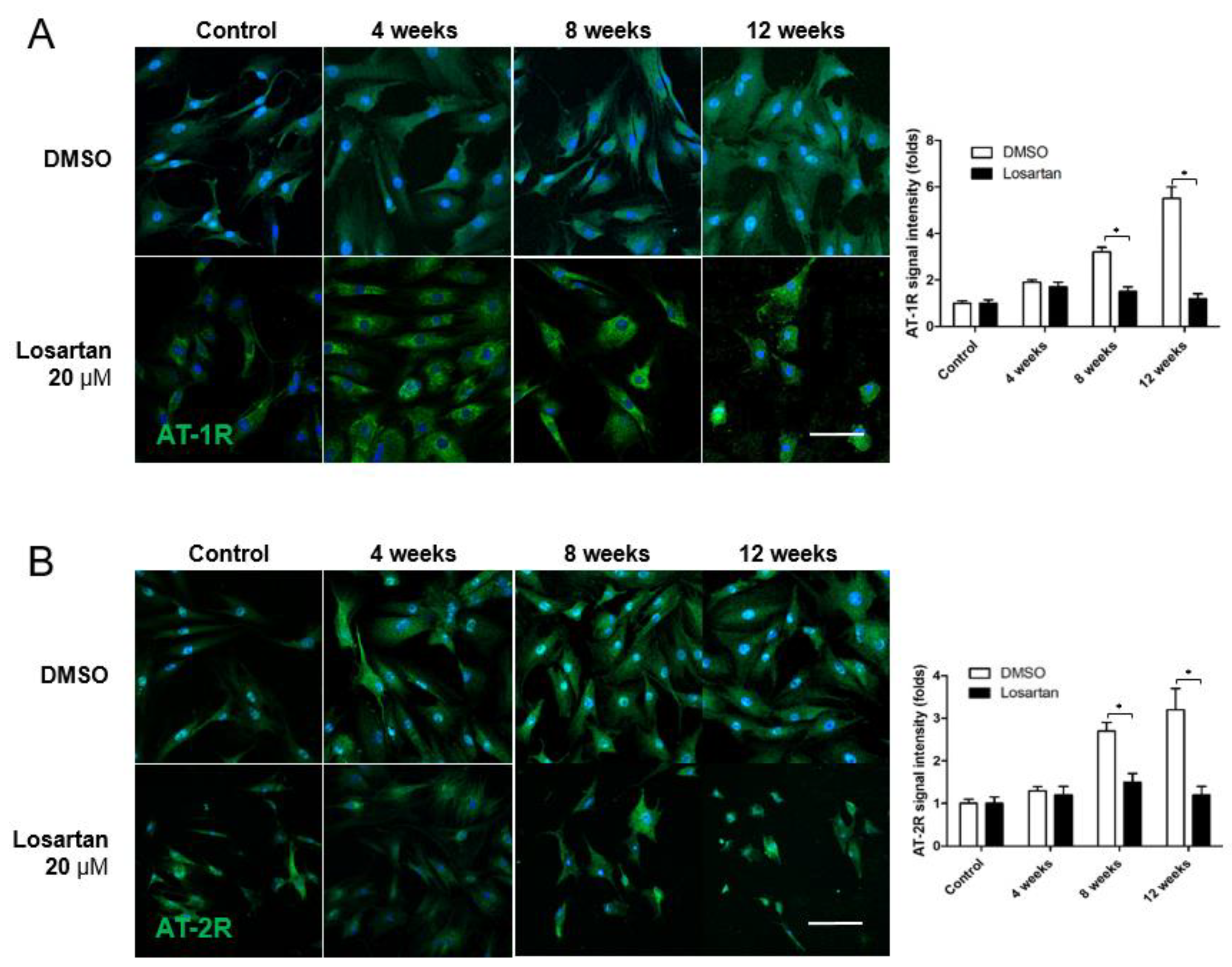 Pharmaceuticals 16 00556 g005 Pharmaceuticals 16 00556 g005