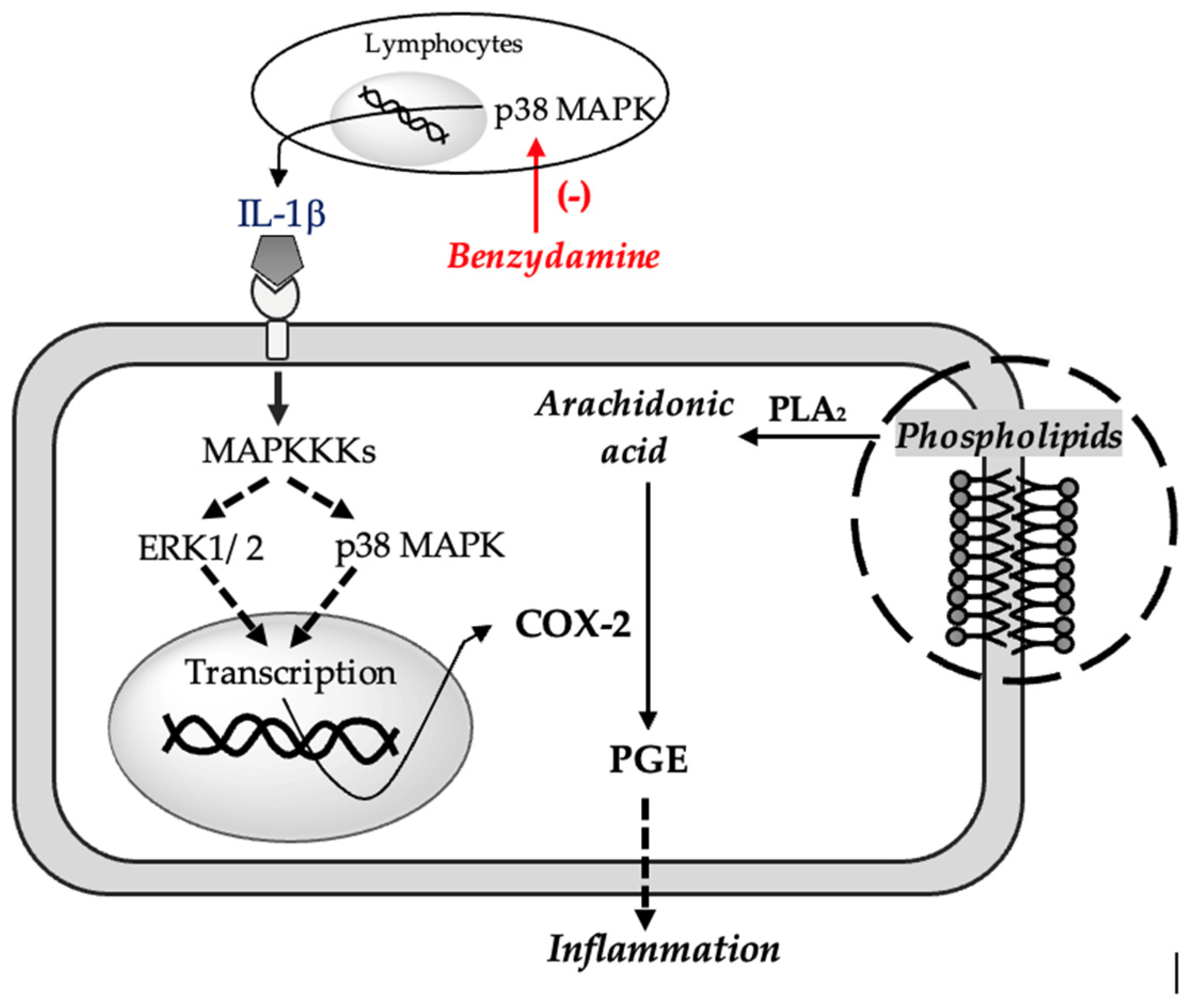 Pharmaceuticals 16 00566 g002