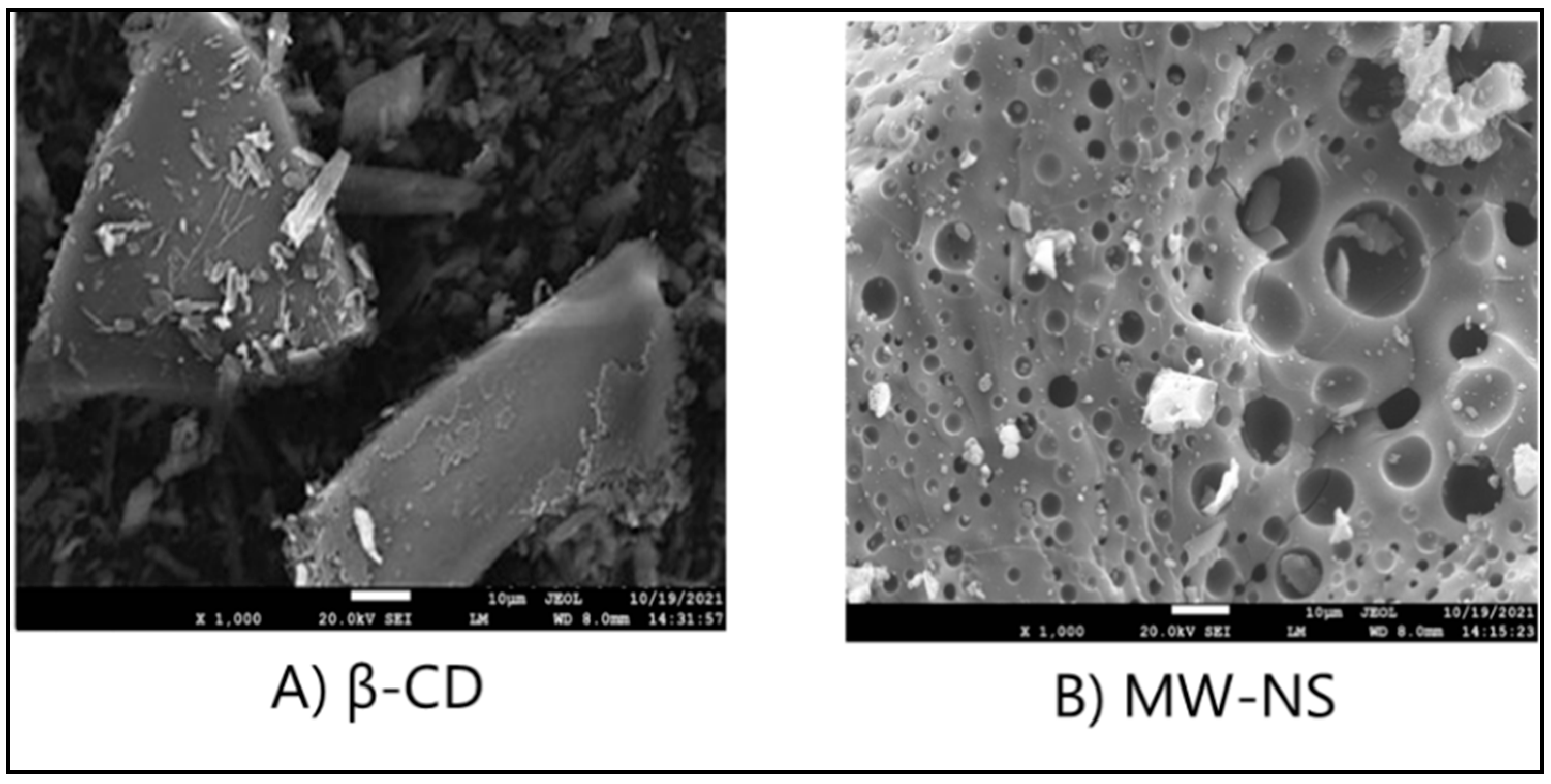 Pharmaceuticals 16 00567 g009