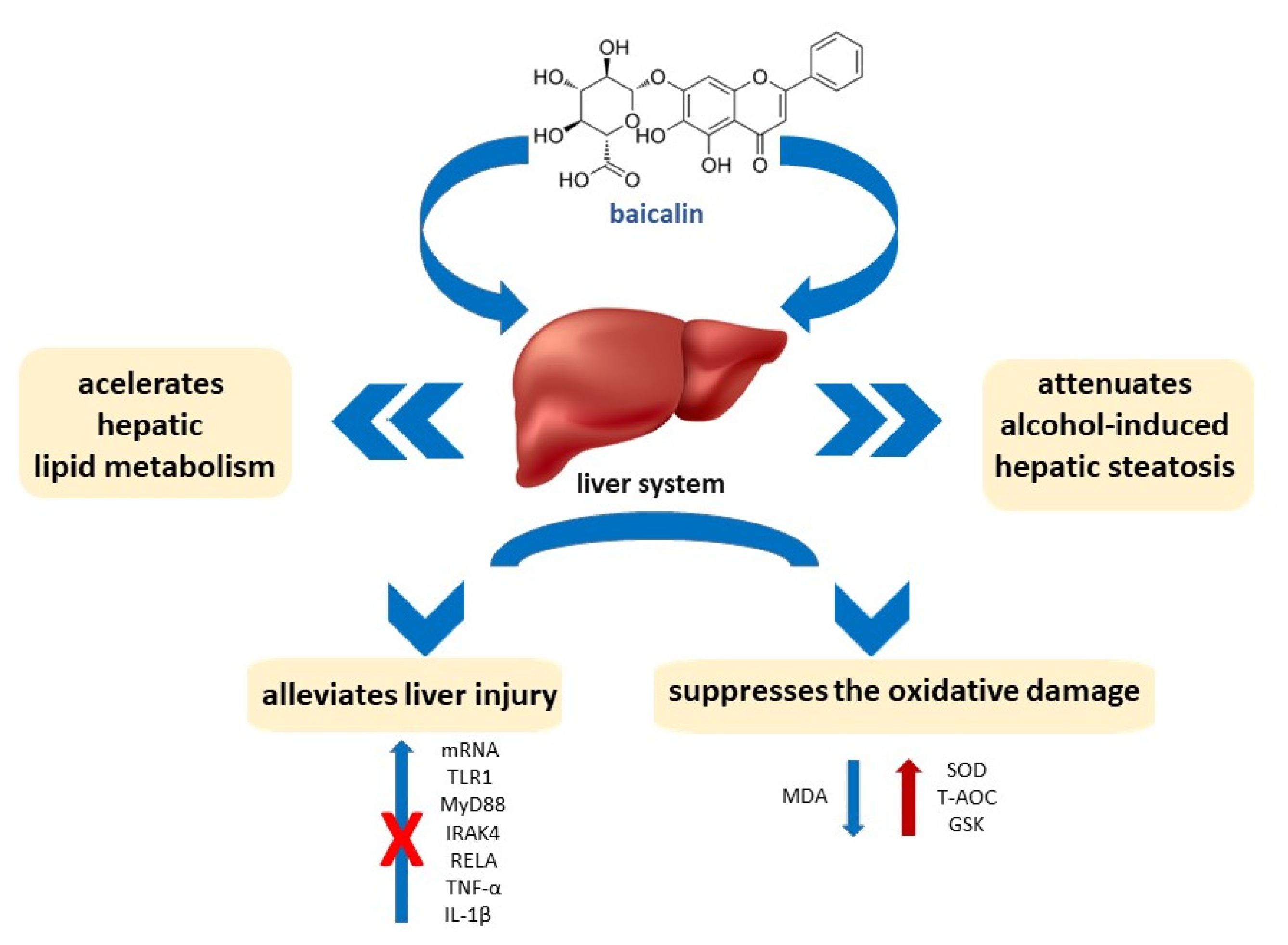 Pharmaceuticals 16 00570 g004