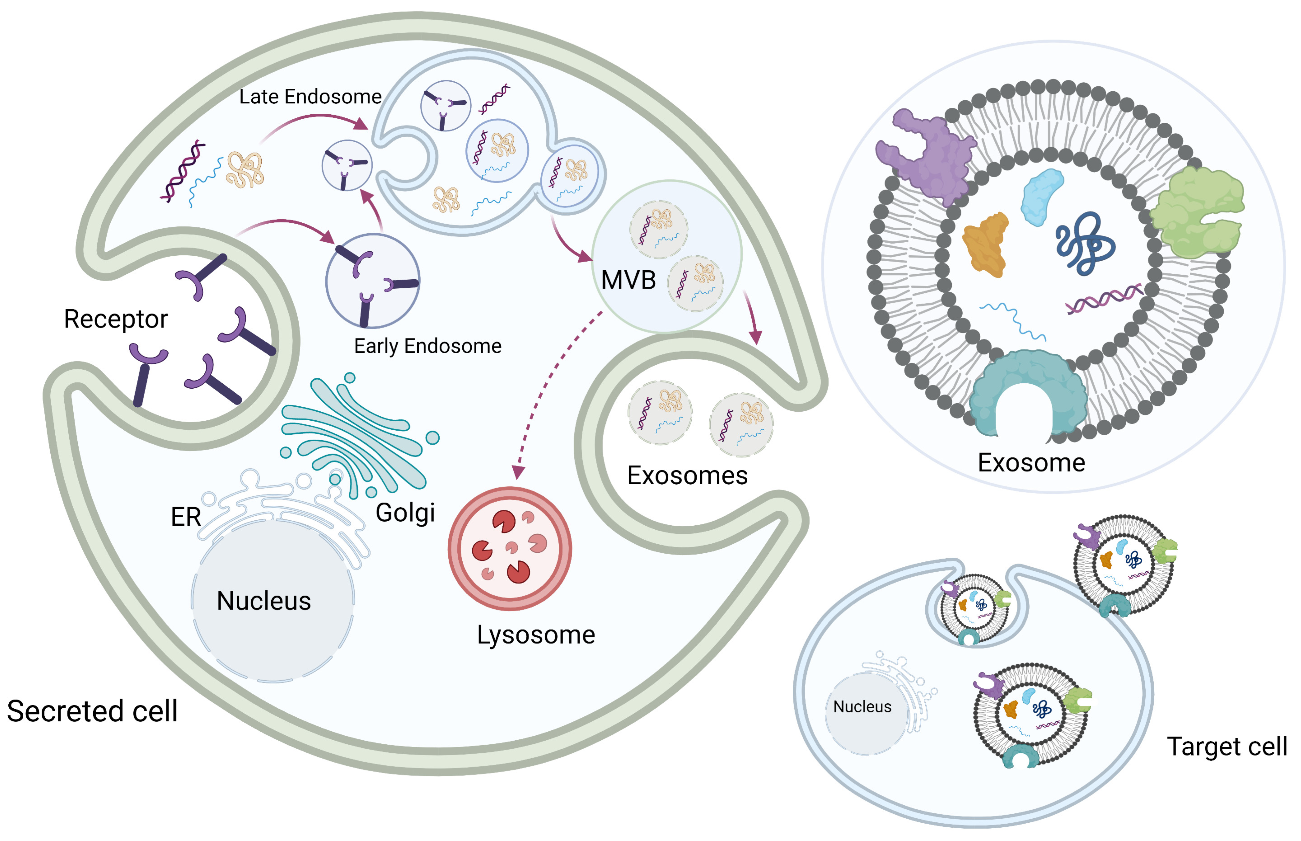 Pharmaceuticals 16 00571 g002 Pharmaceuticals 16 00571 g002