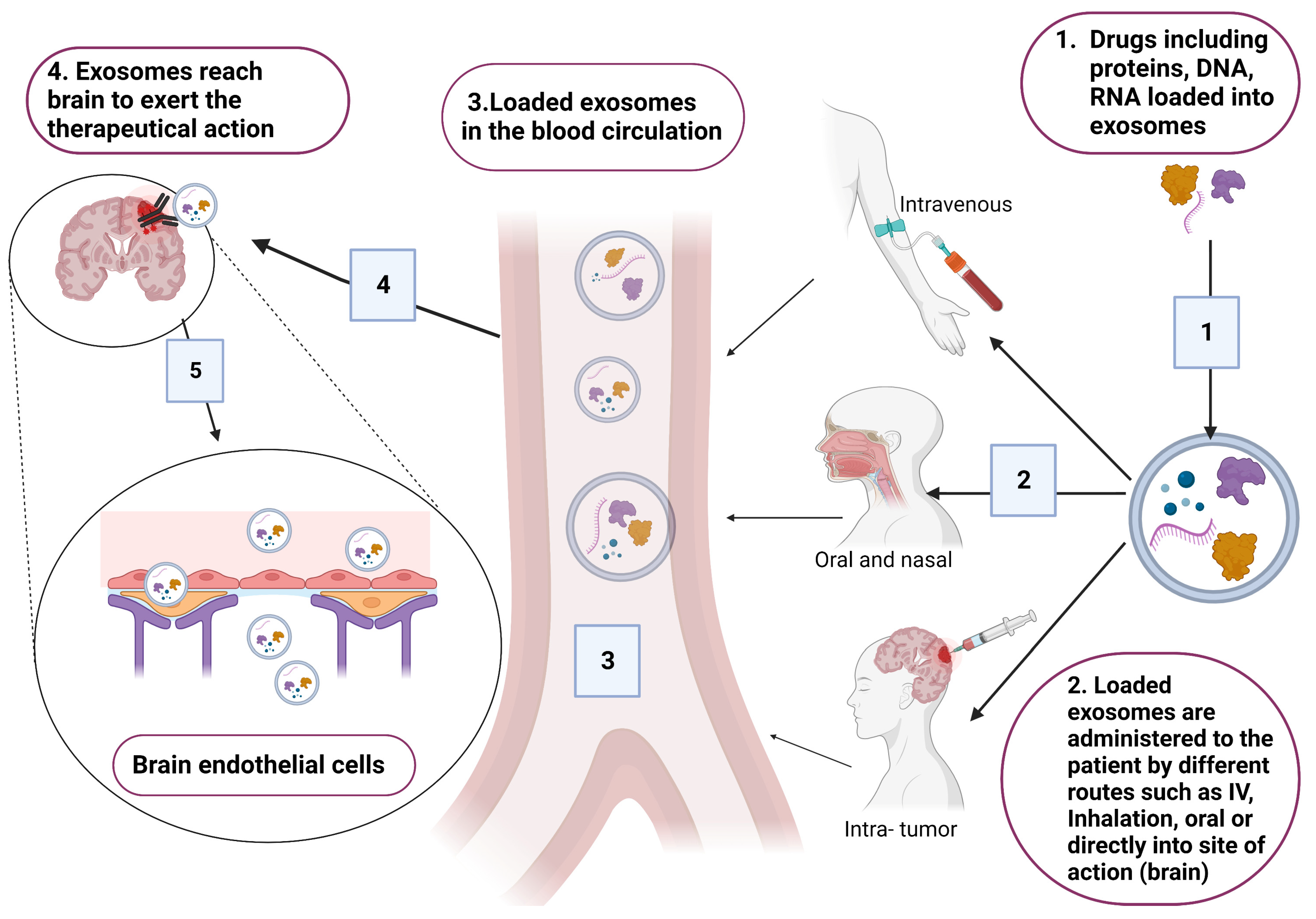 Pharmaceuticals 16 00571 g004 Pharmaceuticals 16 00571 g004