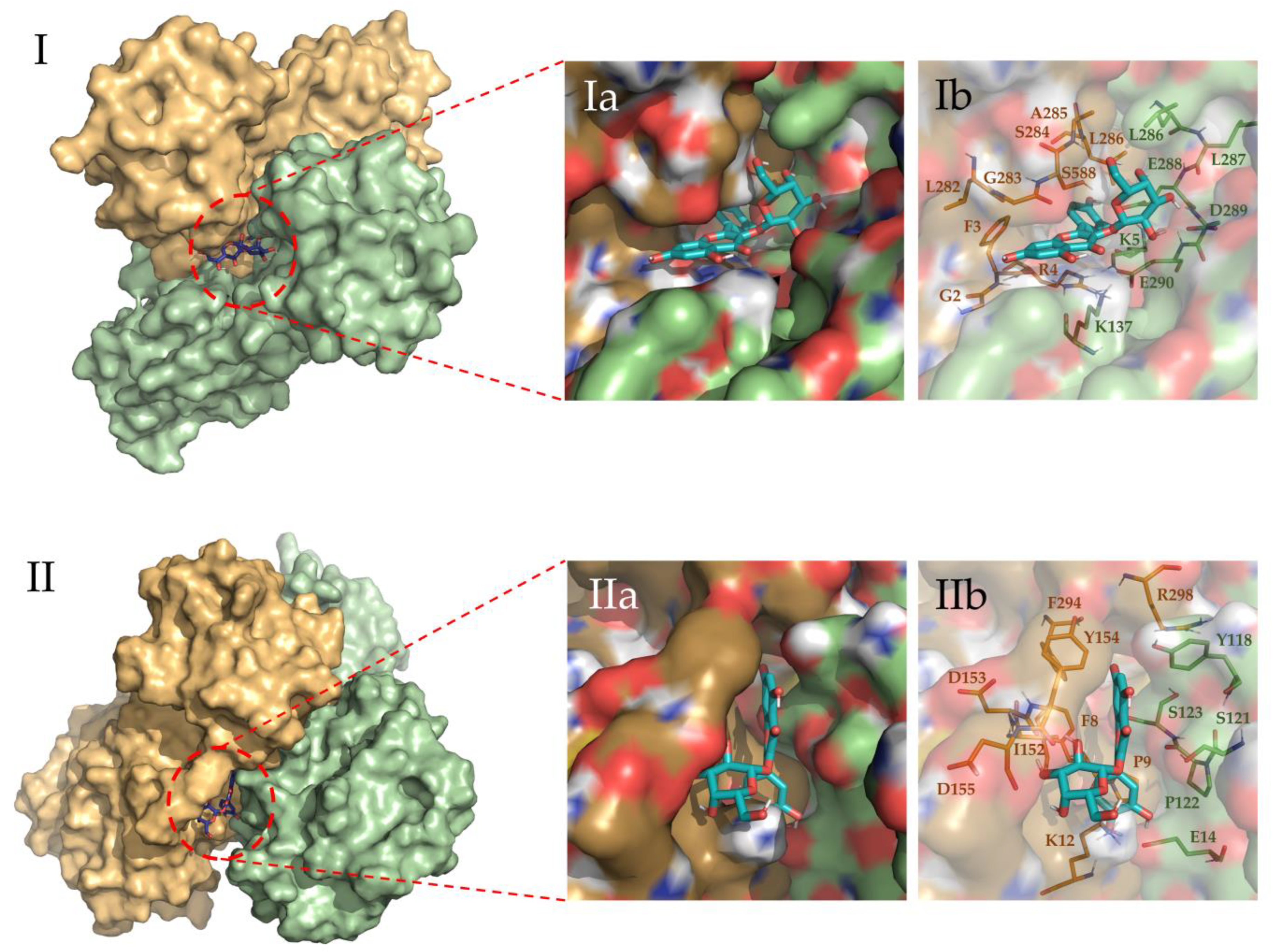 Pharmaceuticals 16 00585 g005