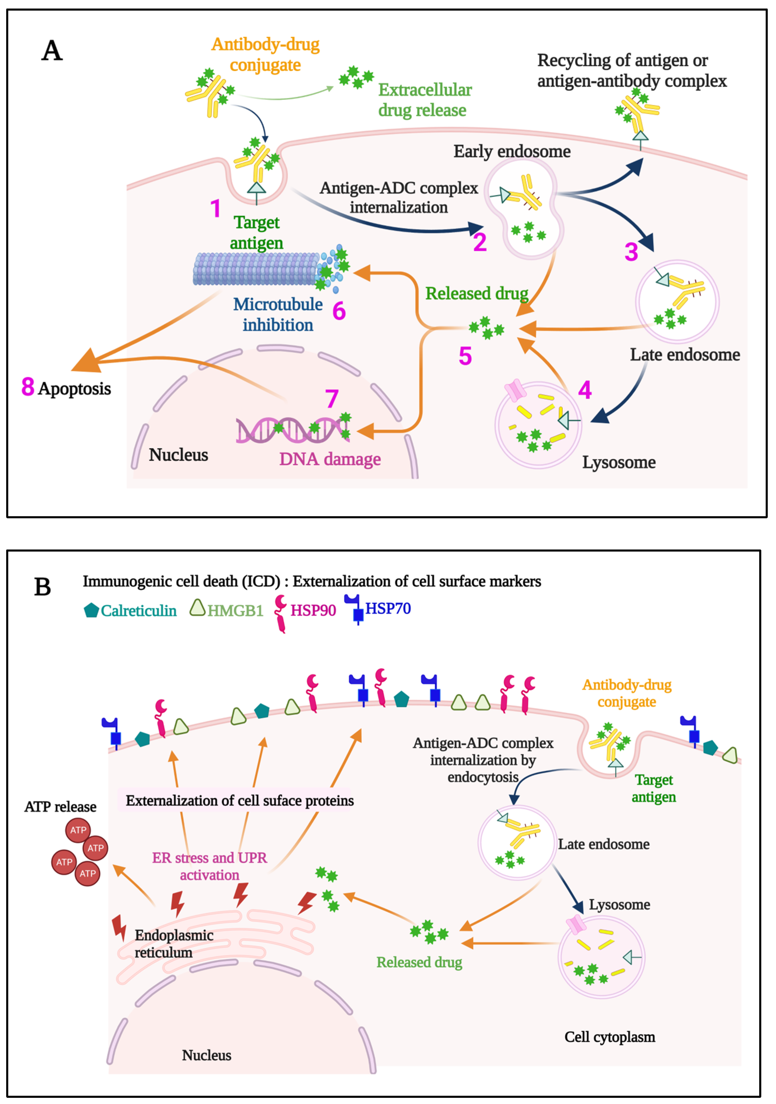 Pharmaceuticals 16 00590 g003