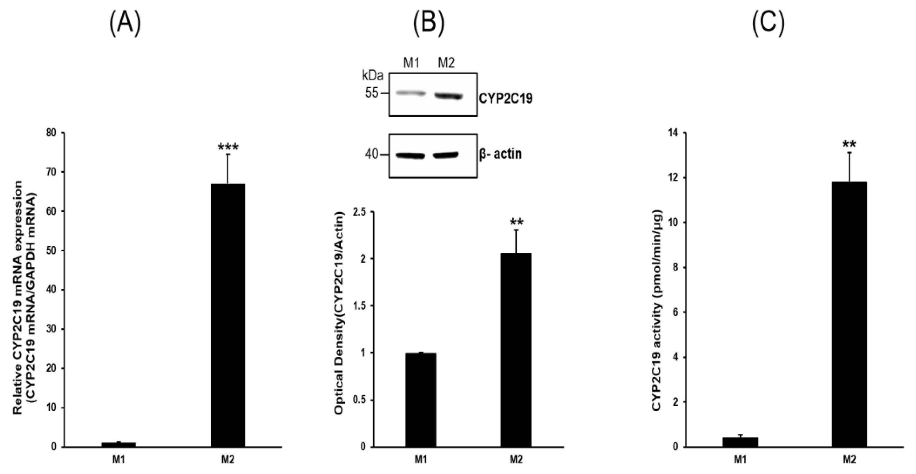 Pharmaceuticals 16 00593 g003