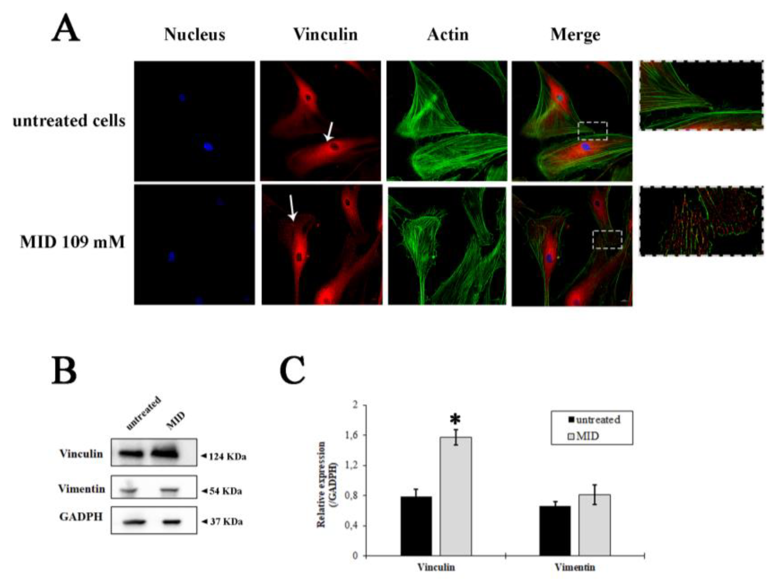 Pharmaceuticals 16 00594 g004