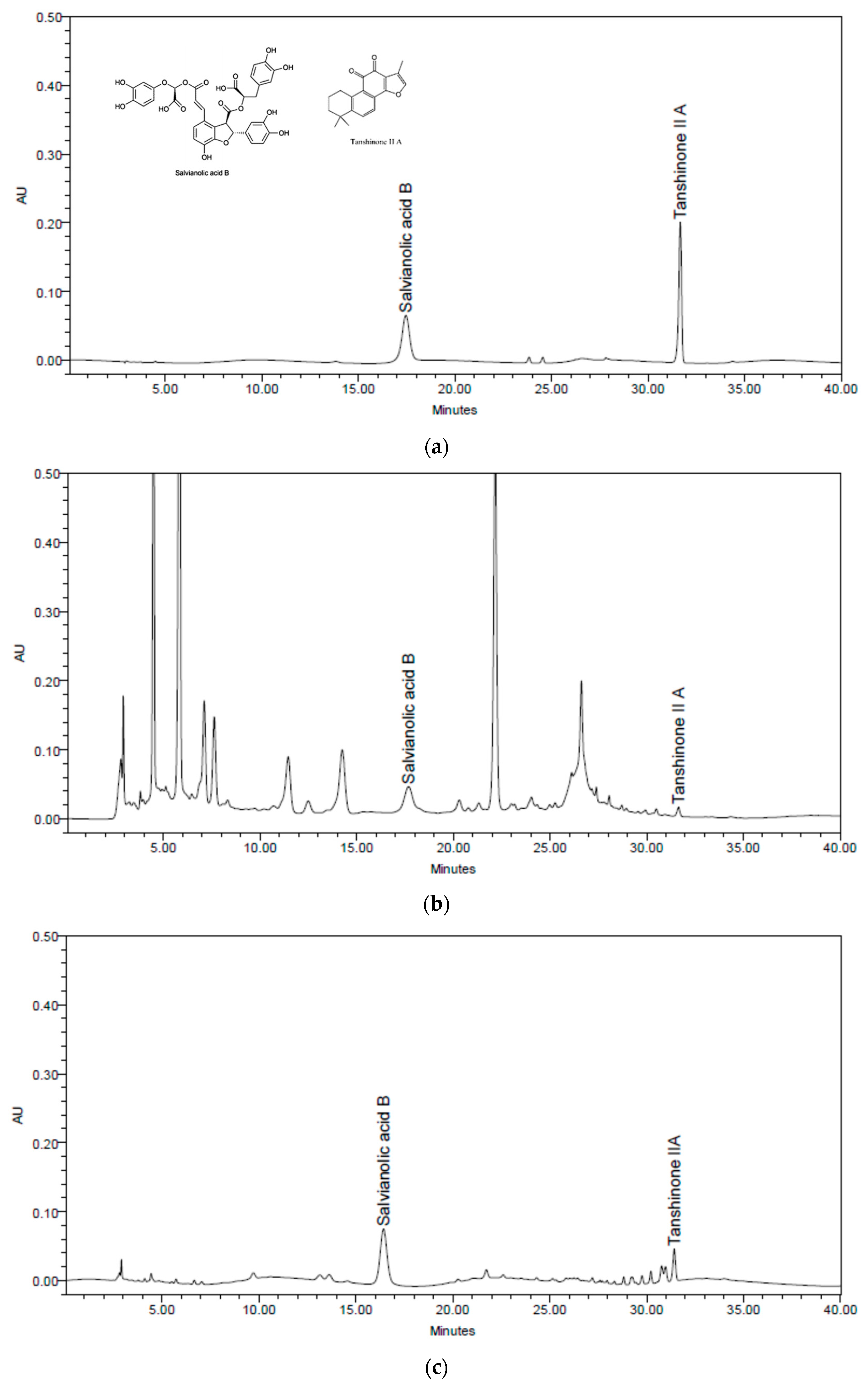 Pharmaceuticals 16 00596 g001 Pharmaceuticals 16 00596 g001