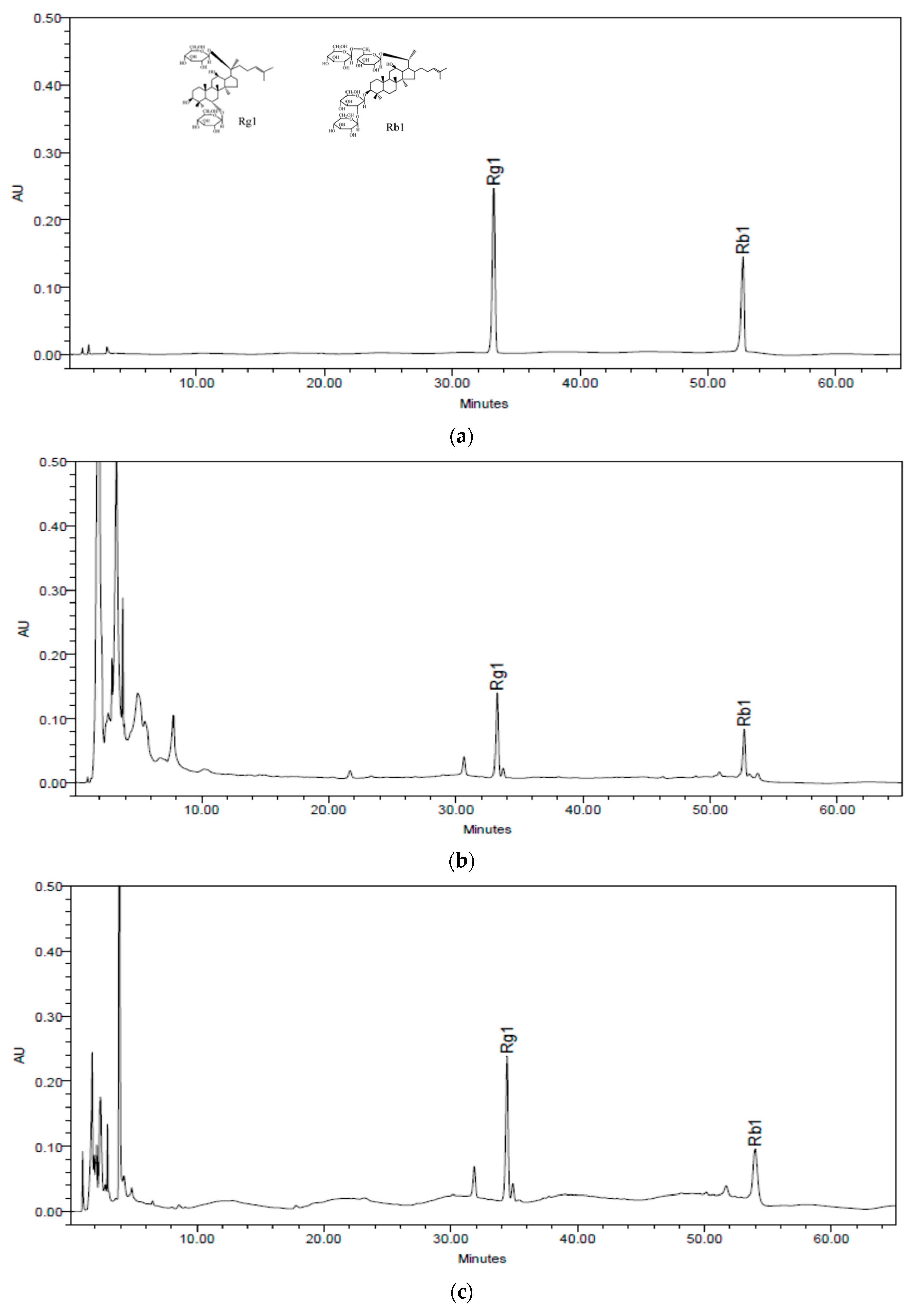 Pharmaceuticals 16 00596 g002 Pharmaceuticals 16 00596 g002