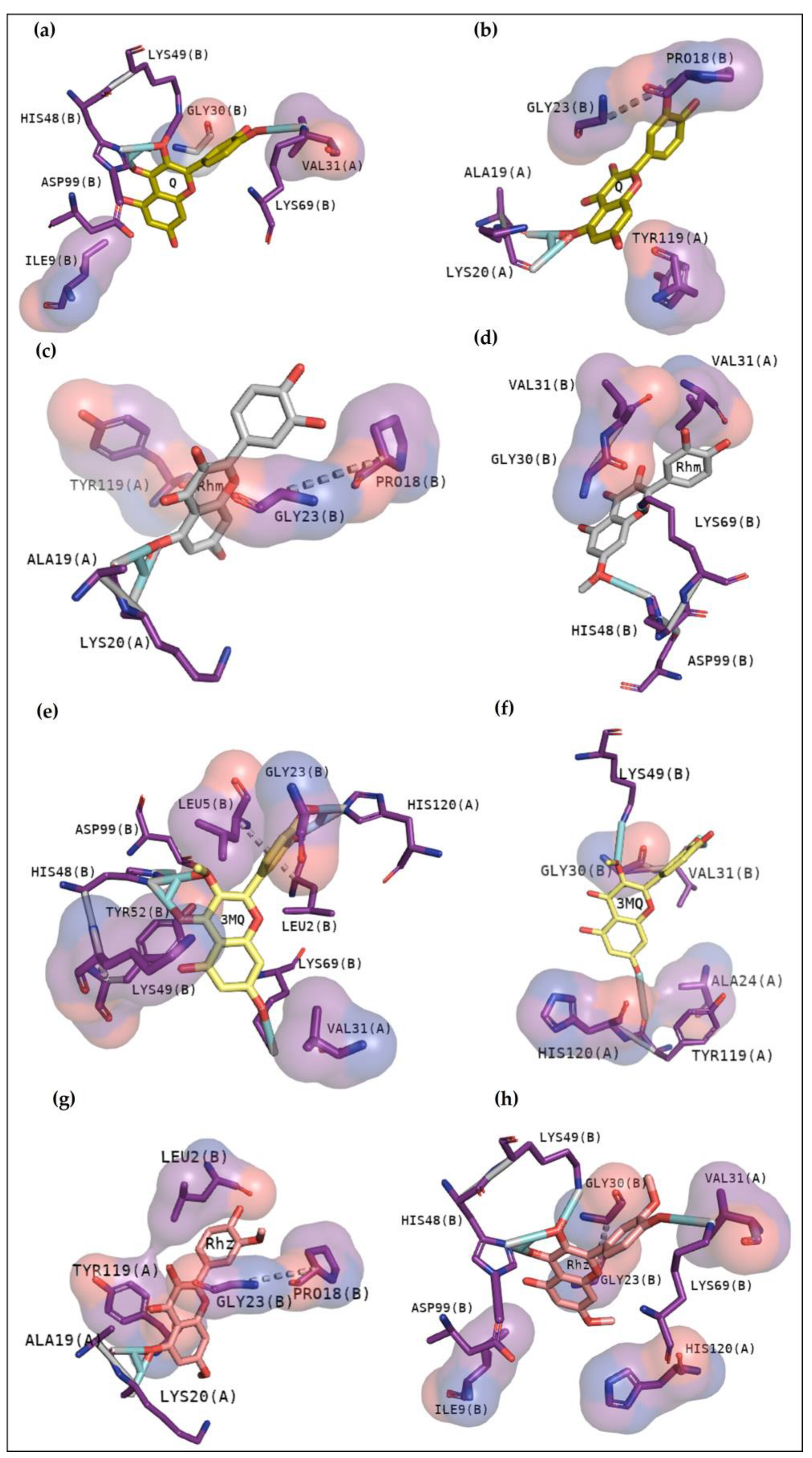 Pharmaceuticals 16 00597 g006 Pharmaceuticals 16 00597 g006