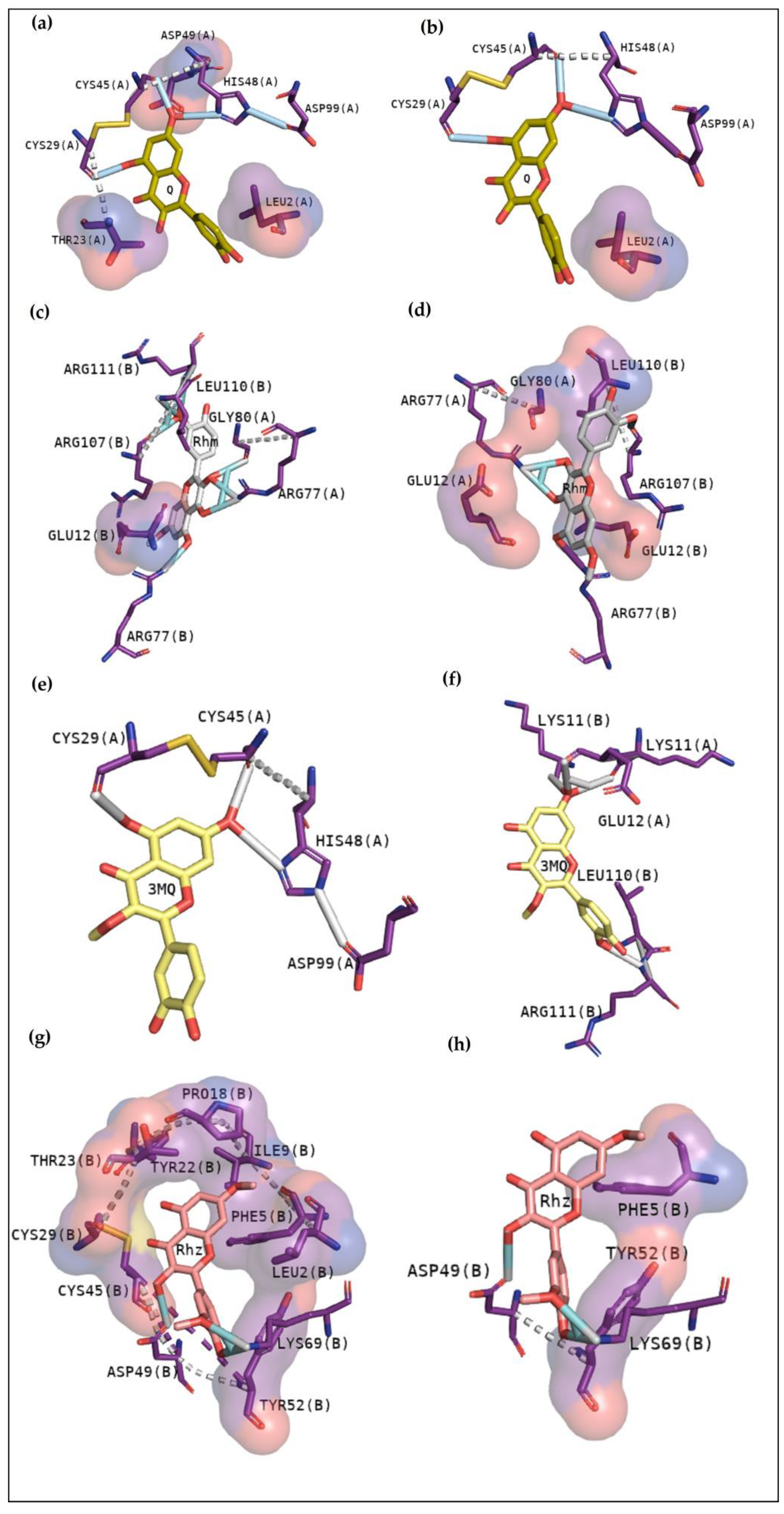 Pharmaceuticals 16 00597 g007 Pharmaceuticals 16 00597 g007