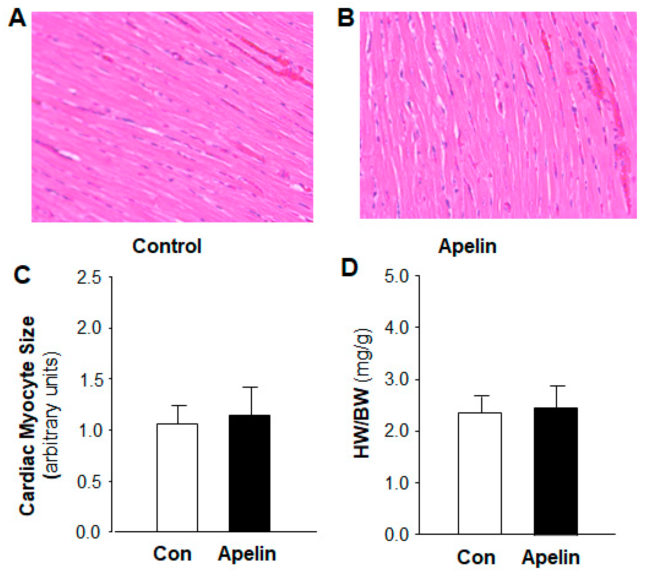 Pharmaceuticals 16 00600 g002