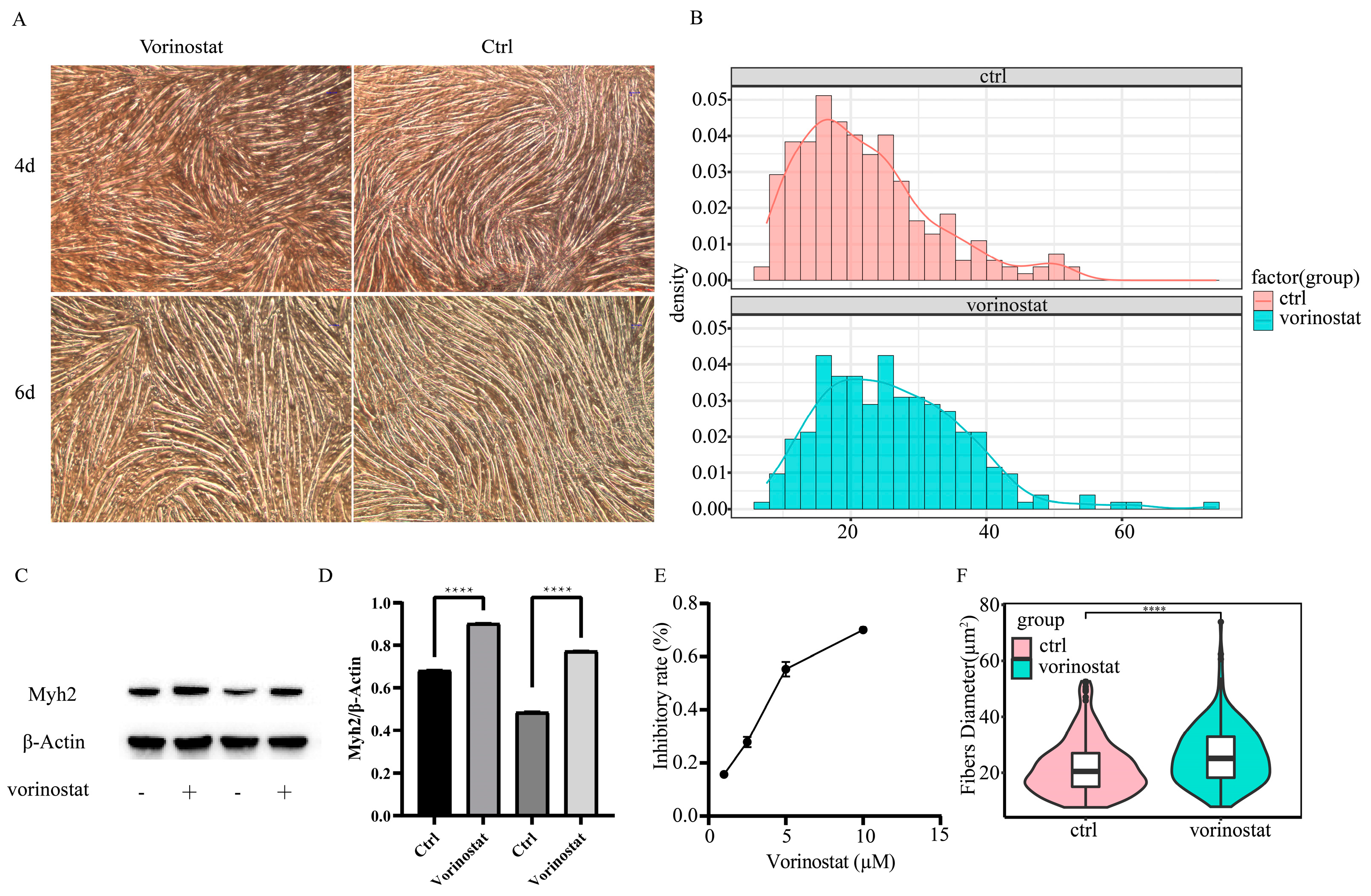 Pharmaceuticals 16 00607 g008