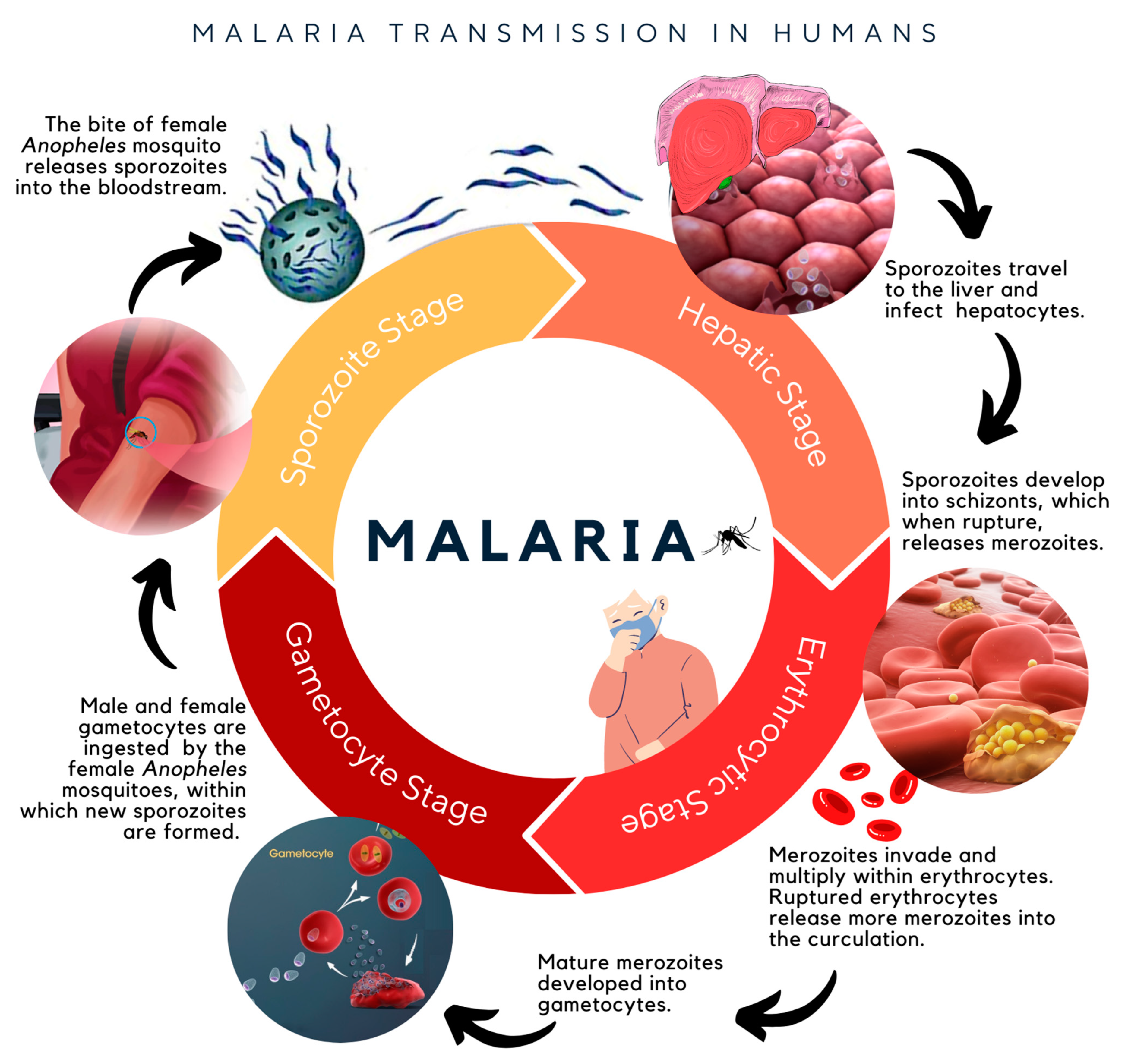 Pharmaceuticals 16 00609 g001