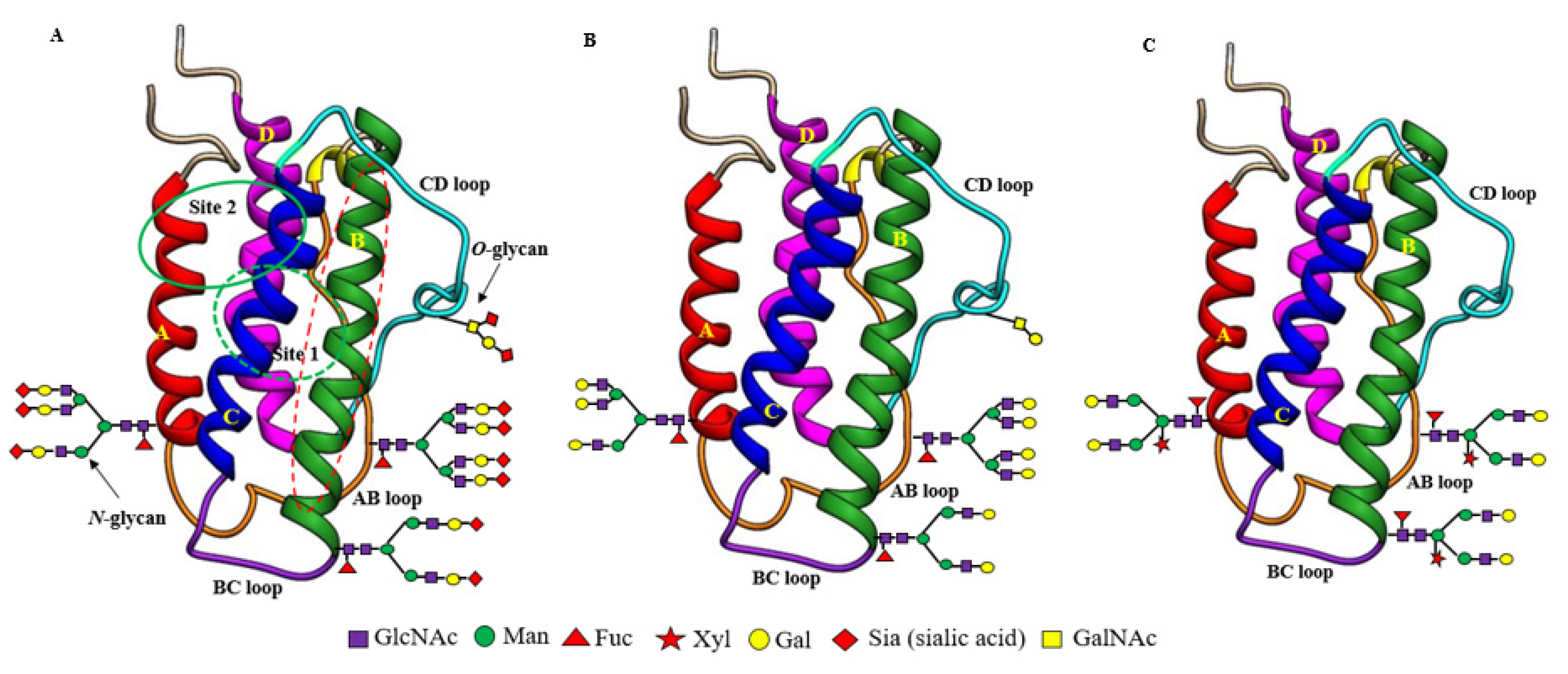 Pharmaceuticals 16 00610 g001 Pharmaceuticals 16 00610 g001
