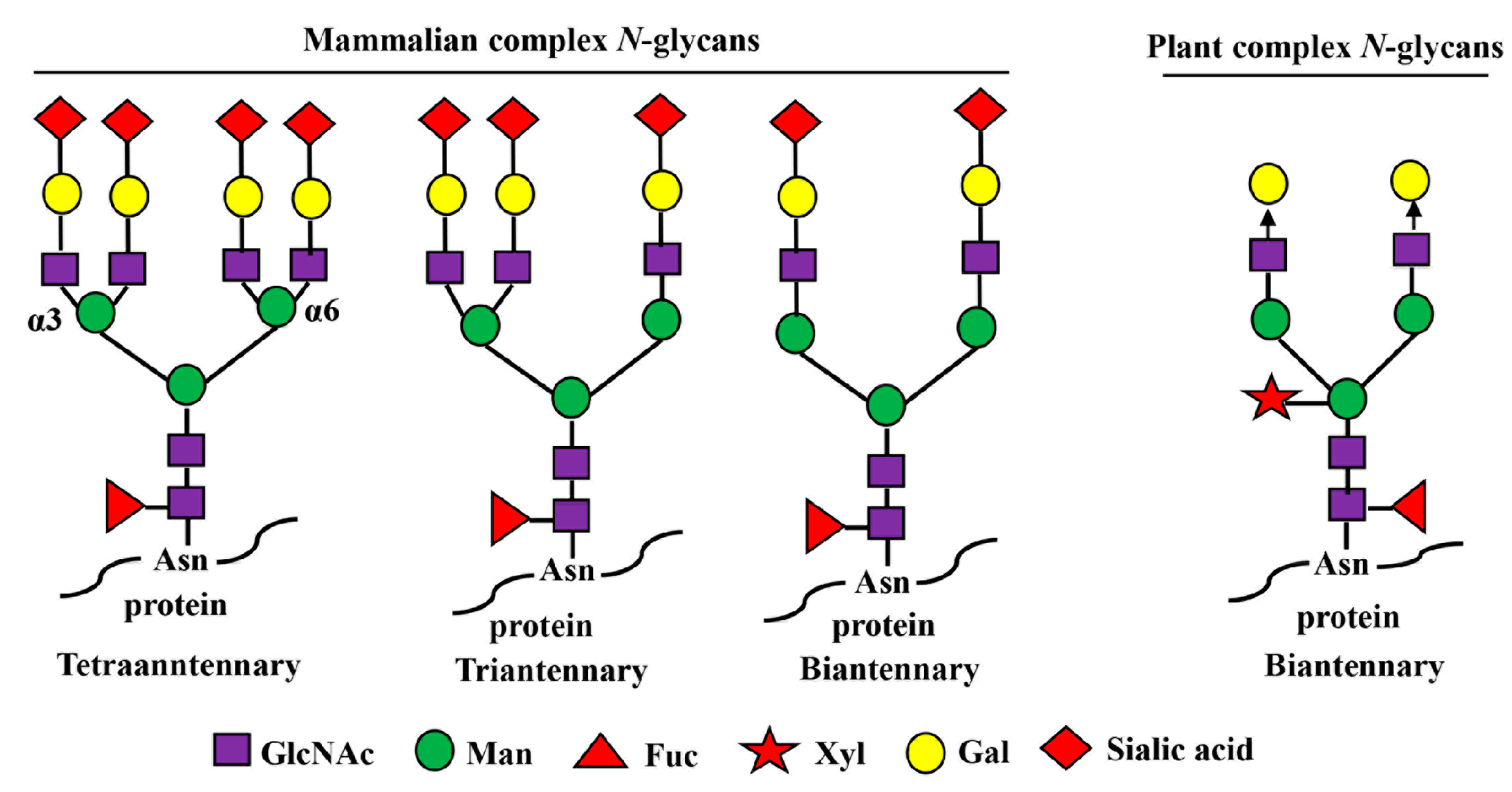 Pharmaceuticals 16 00610 g002 Pharmaceuticals 16 00610 g002